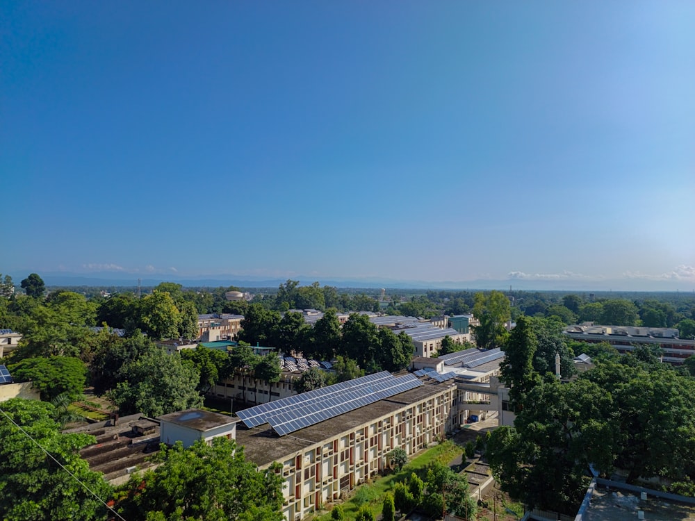 a city with many trees