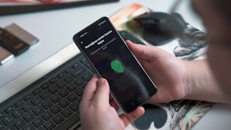 a person holding a phone