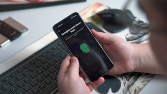 a person holding a phone