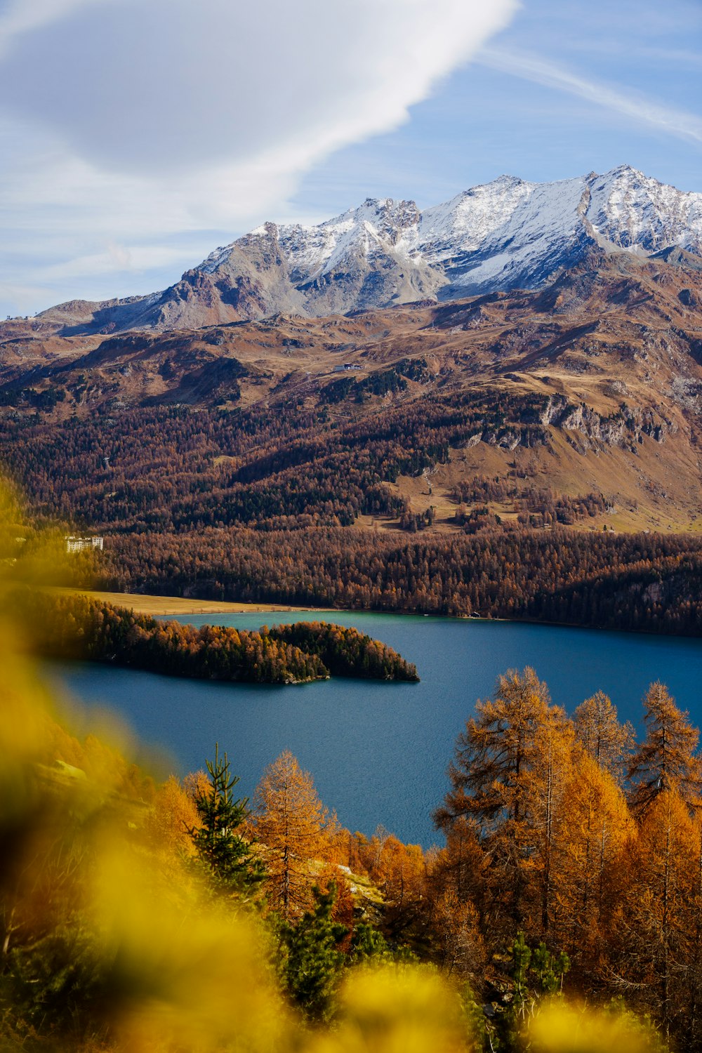 Un lago con árboles y montañas al fondo