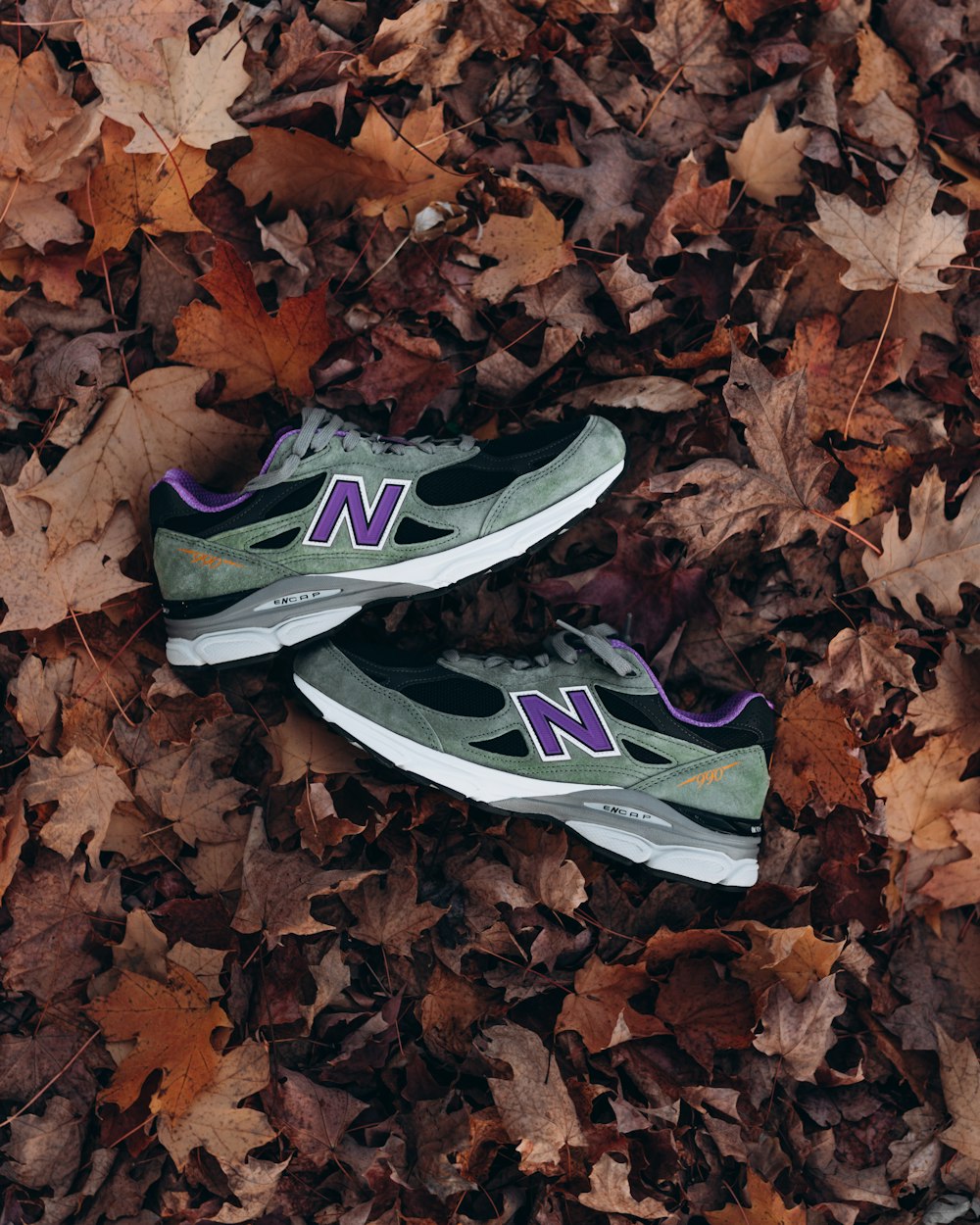 a pair of shoes on a pile of leaves