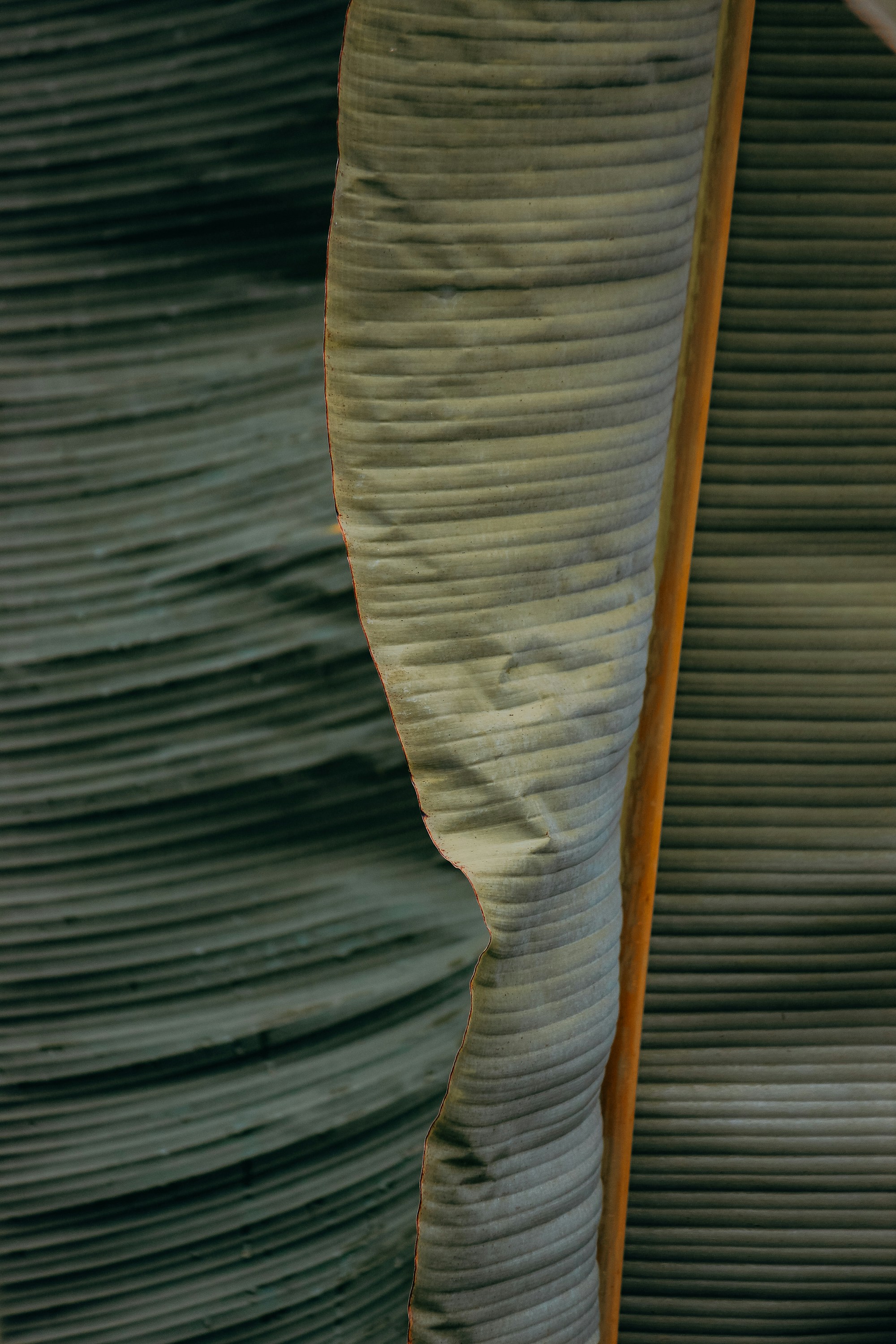 Différentes tailles et formes de planches à découper