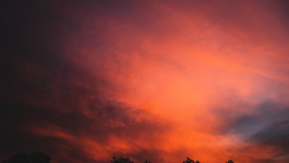 a pink and purple sky