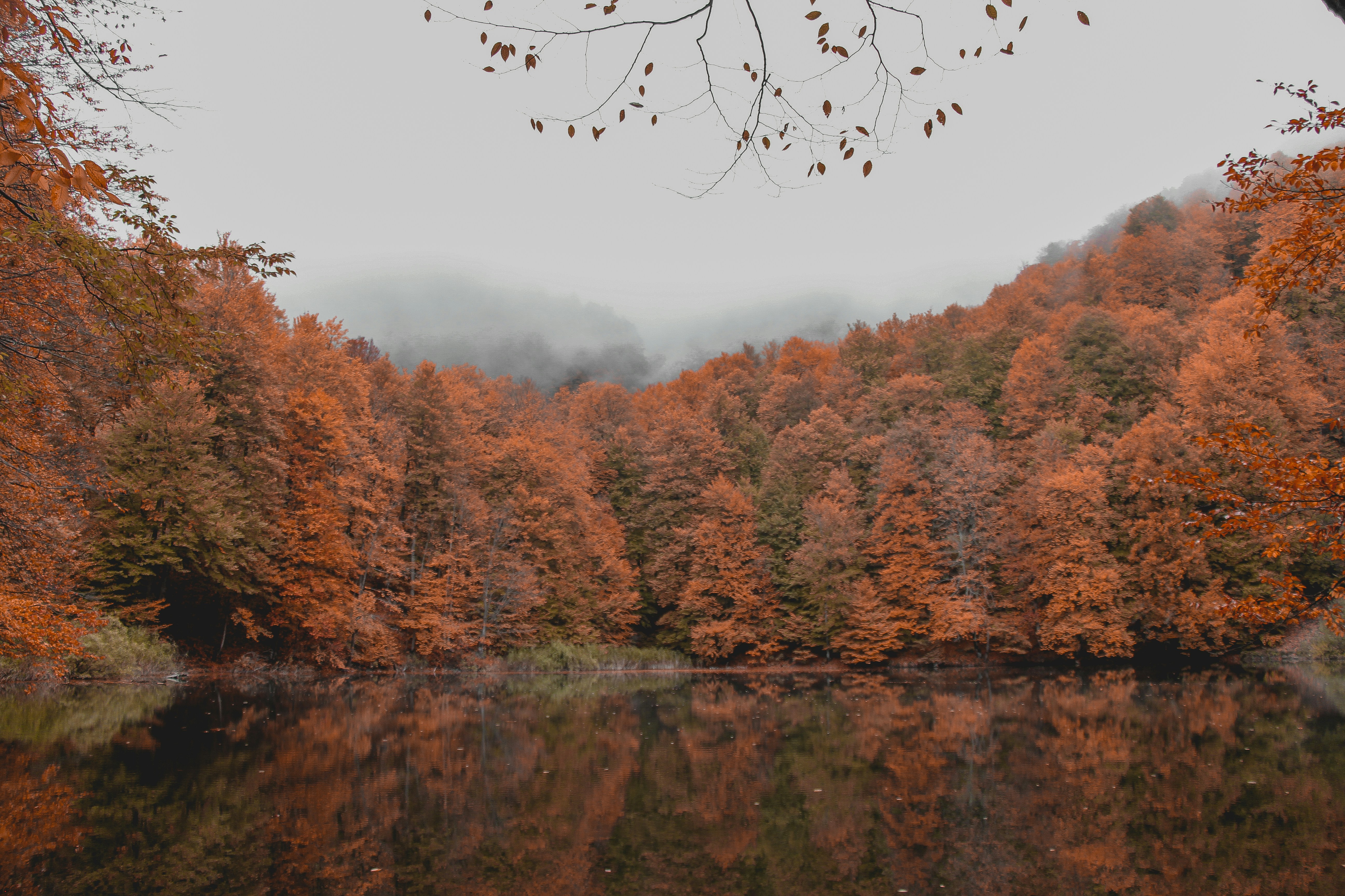 Photo by ismylvf
