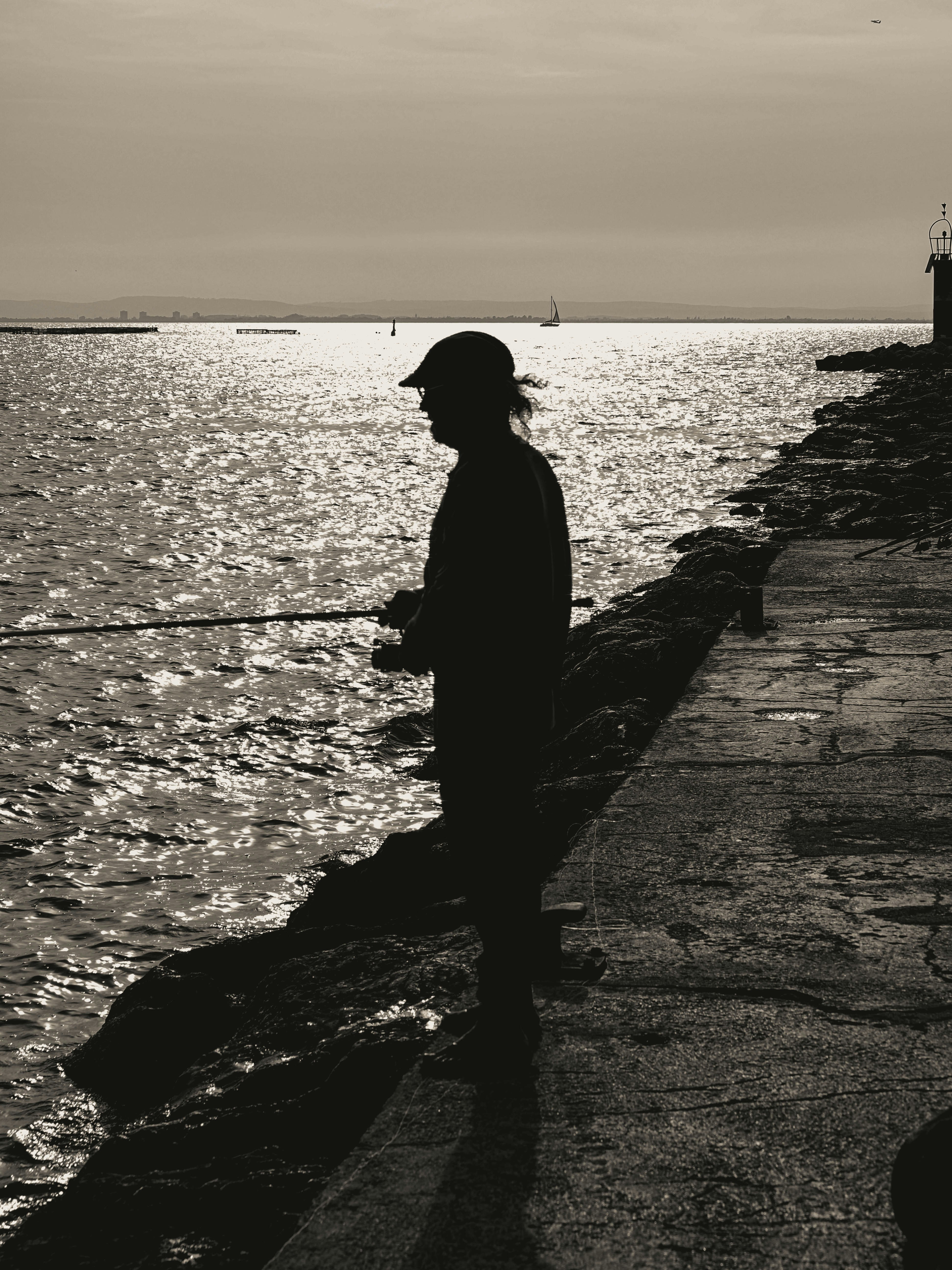a person standing on a dock