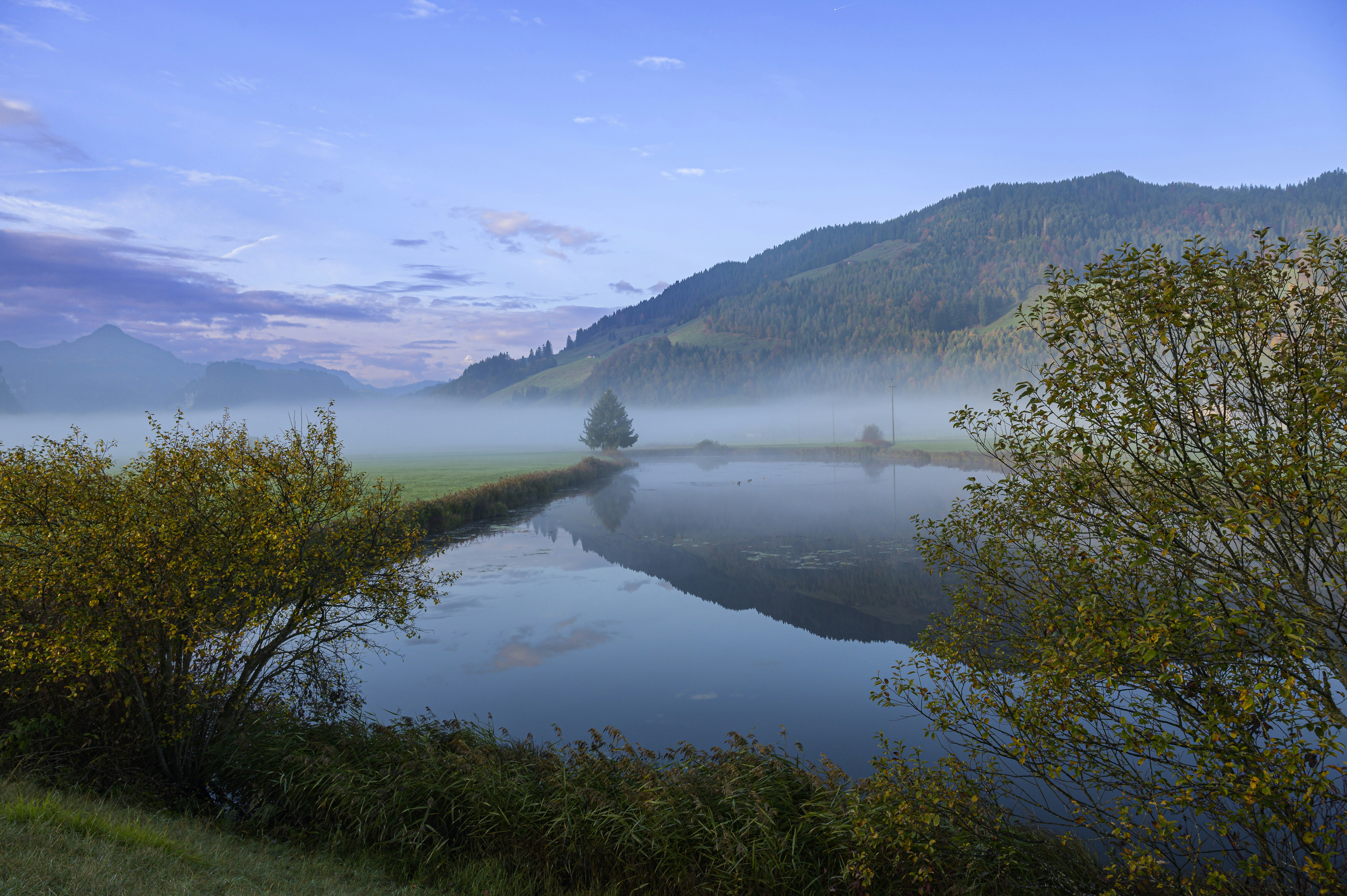 Photo by hans_leuzinger