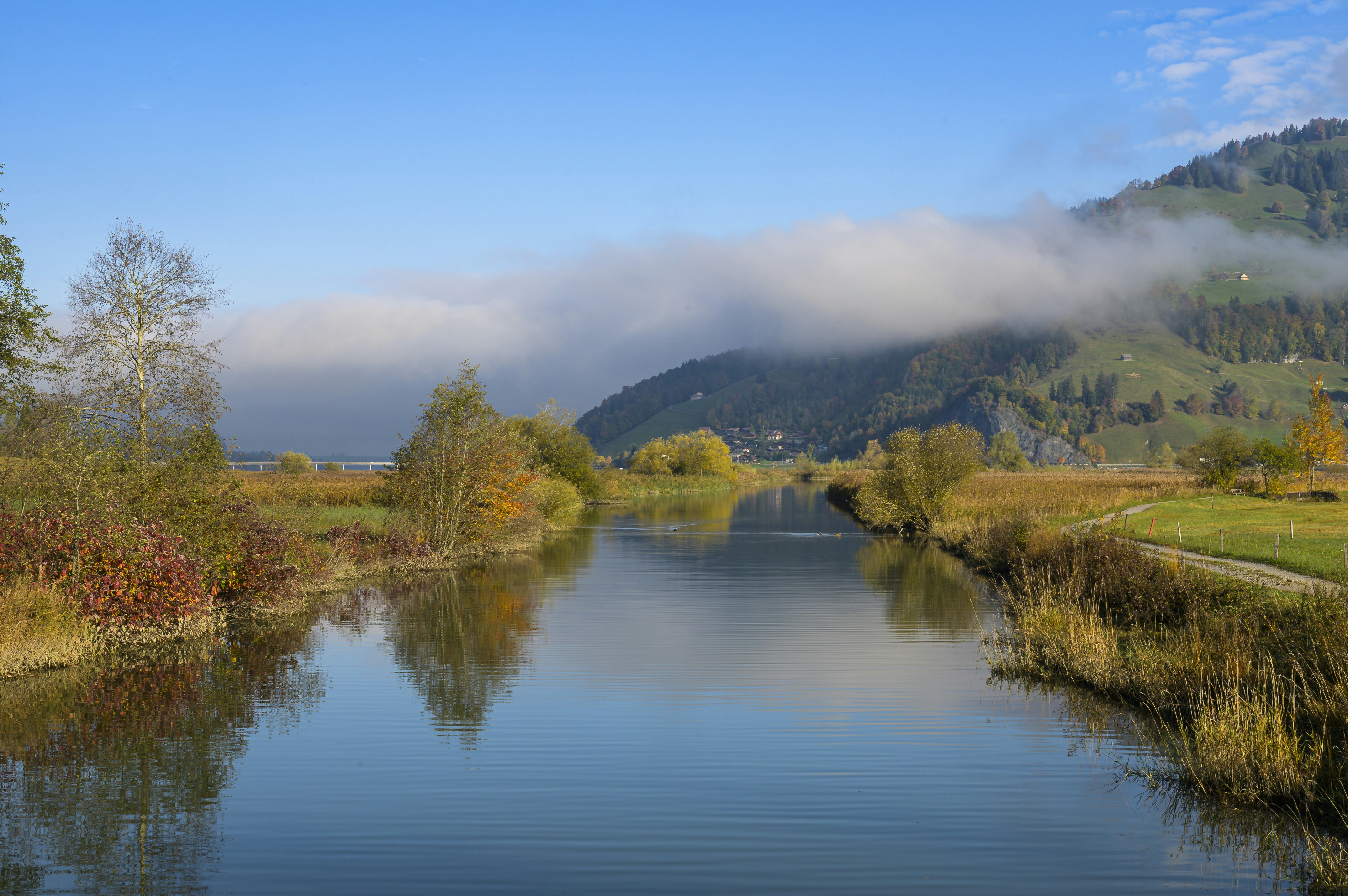 Photo by hans_leuzinger