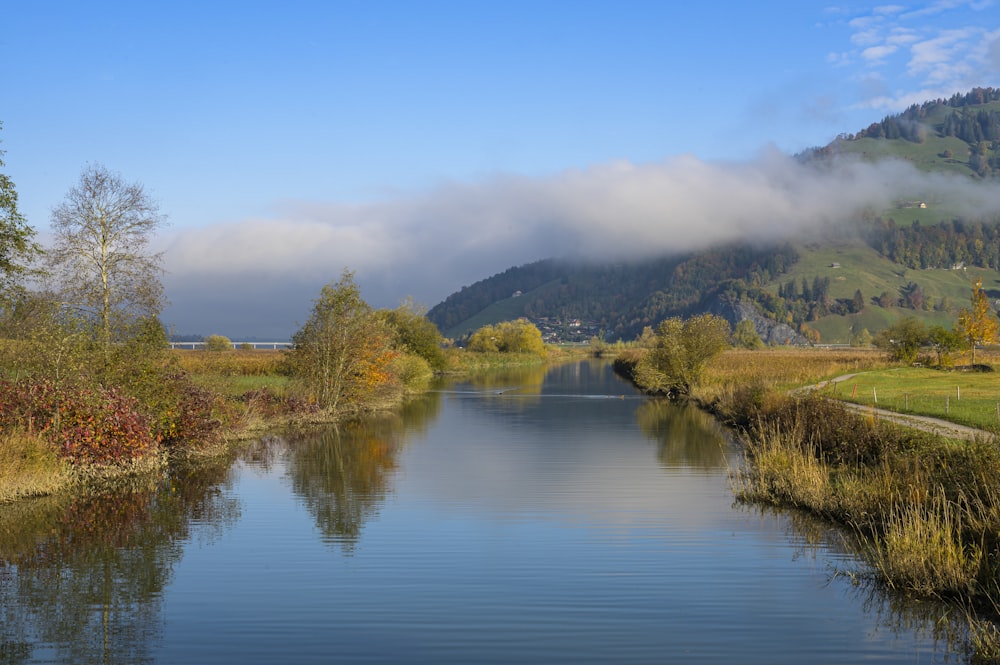 uno specchio d'acqua con alberi ed erba intorno