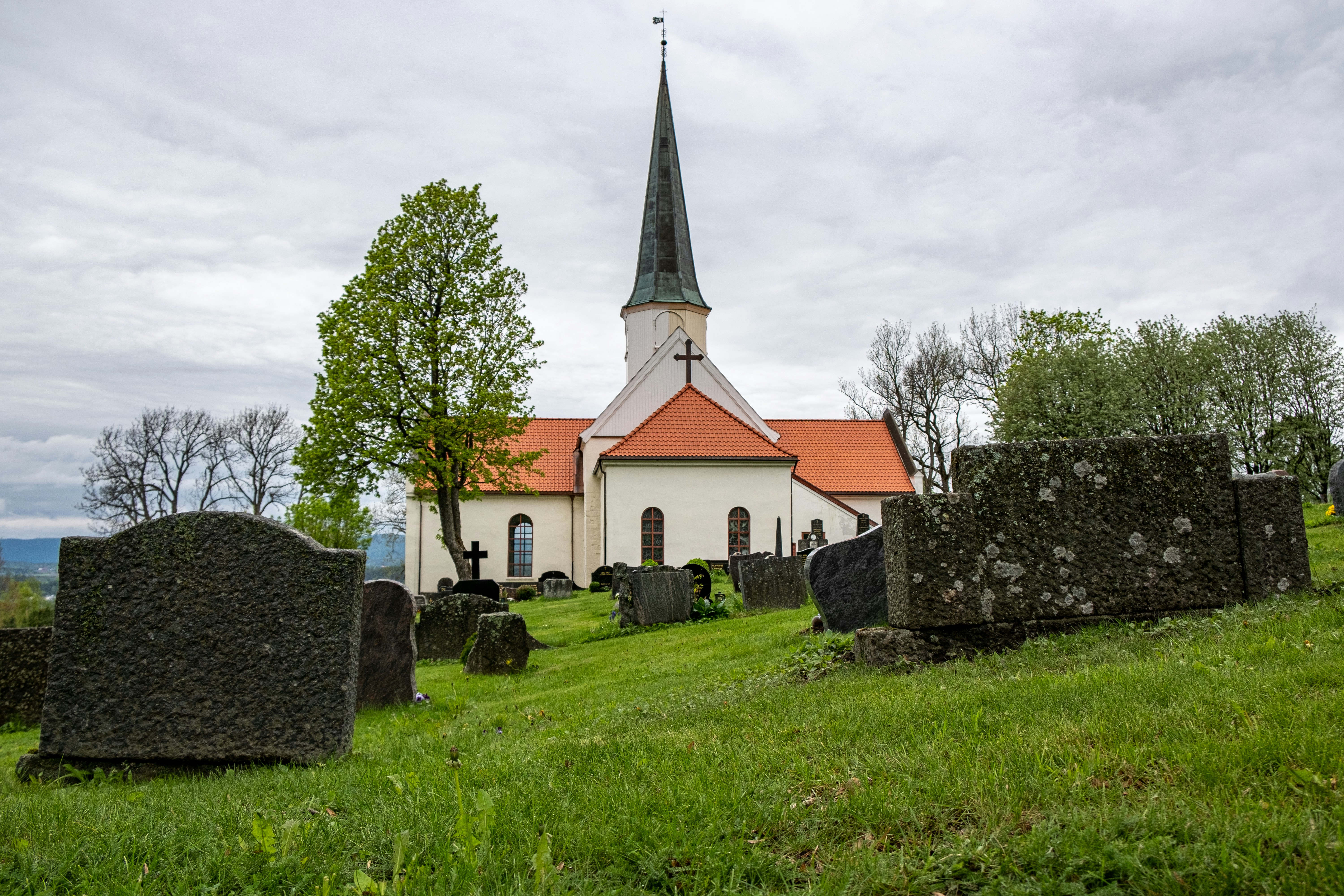 Photo by davotibarna