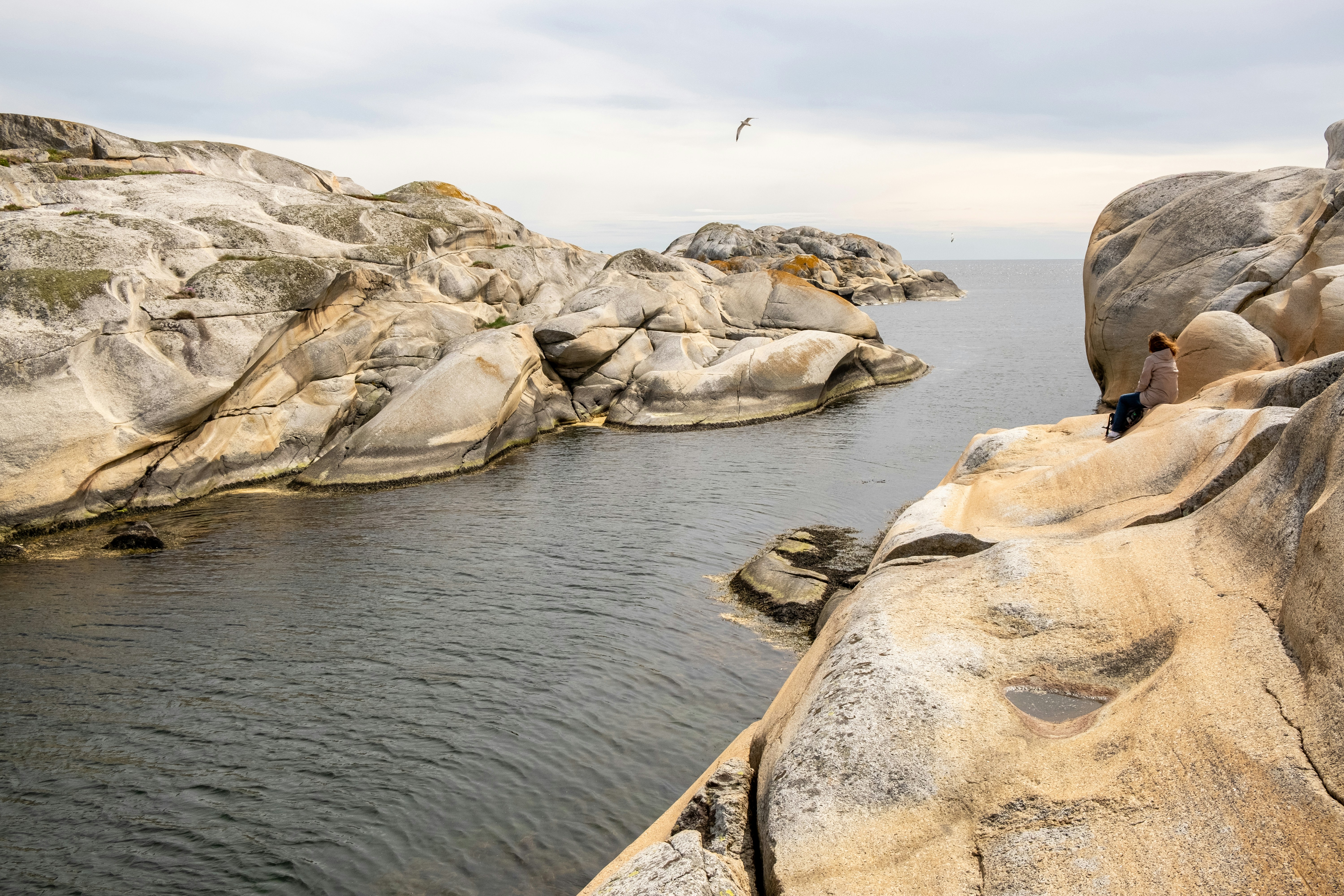 Photo by davotibarna