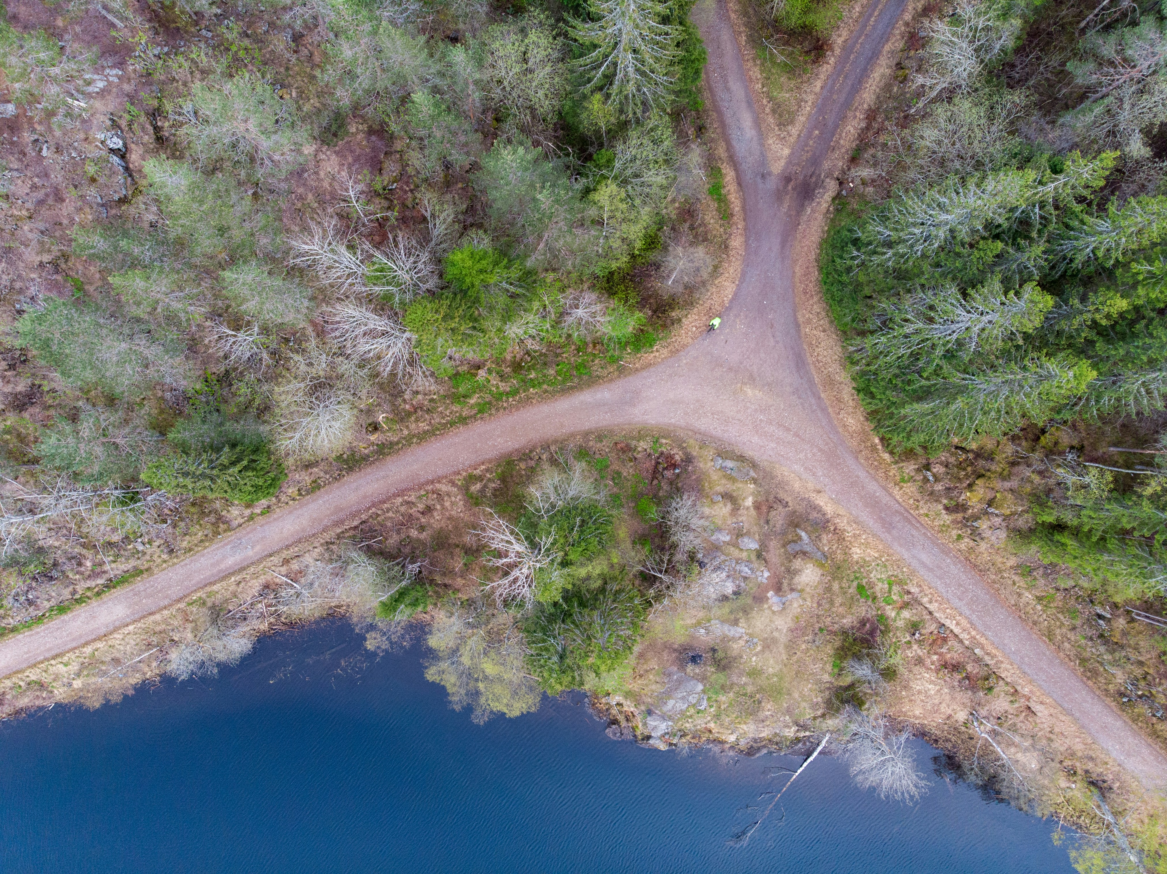 Photo by davotibarna