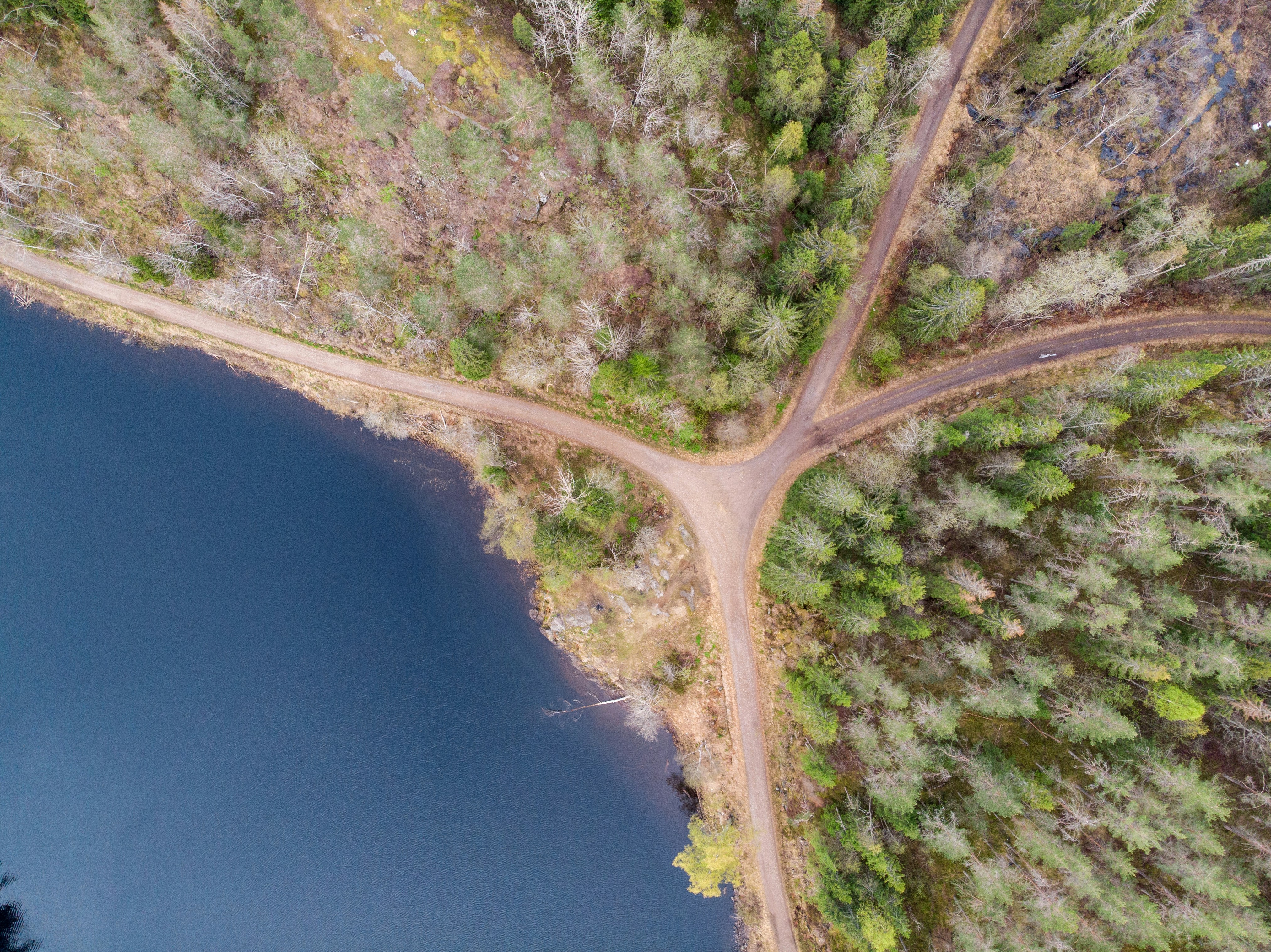 Photo by davotibarna