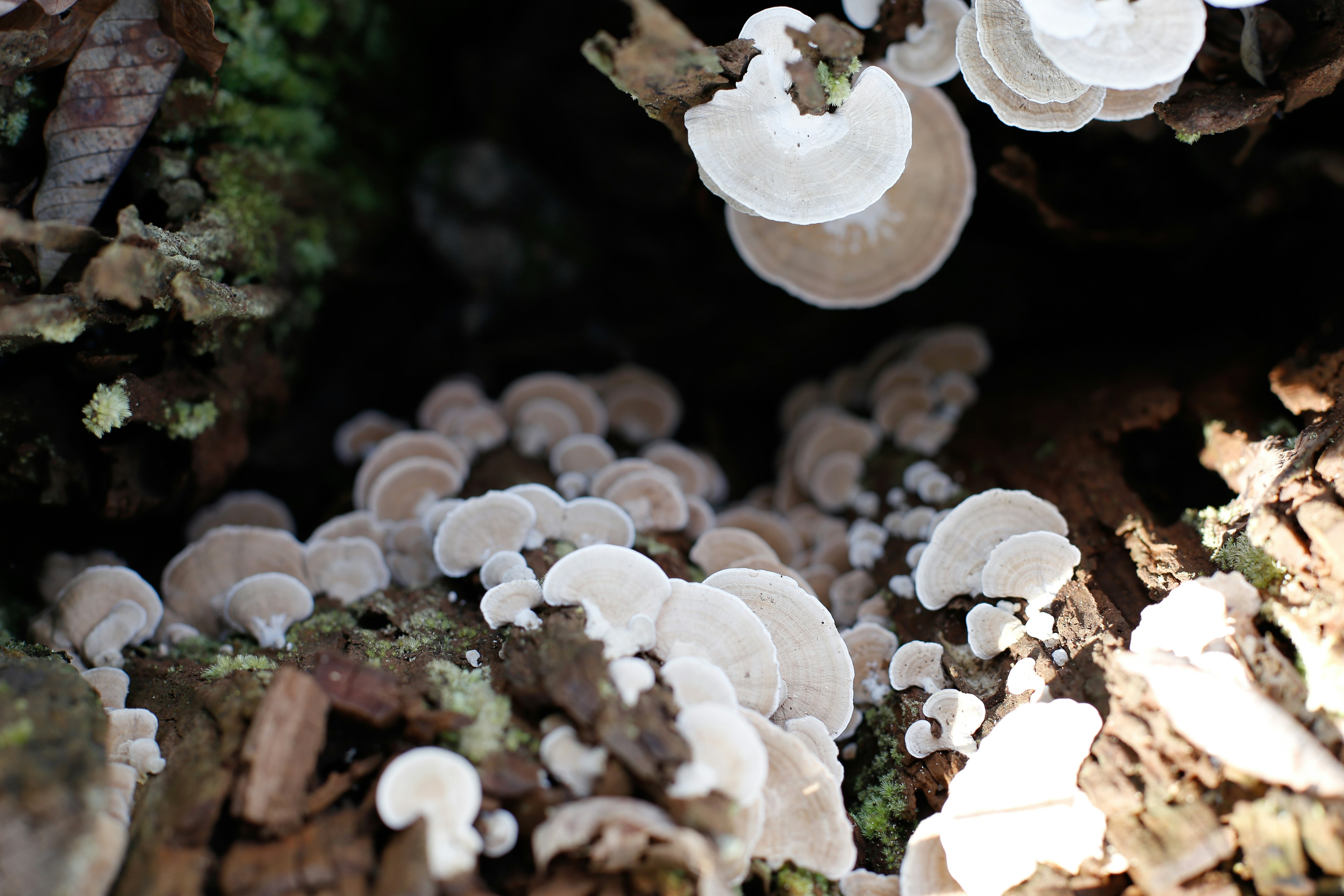 Photo by quangdieu195