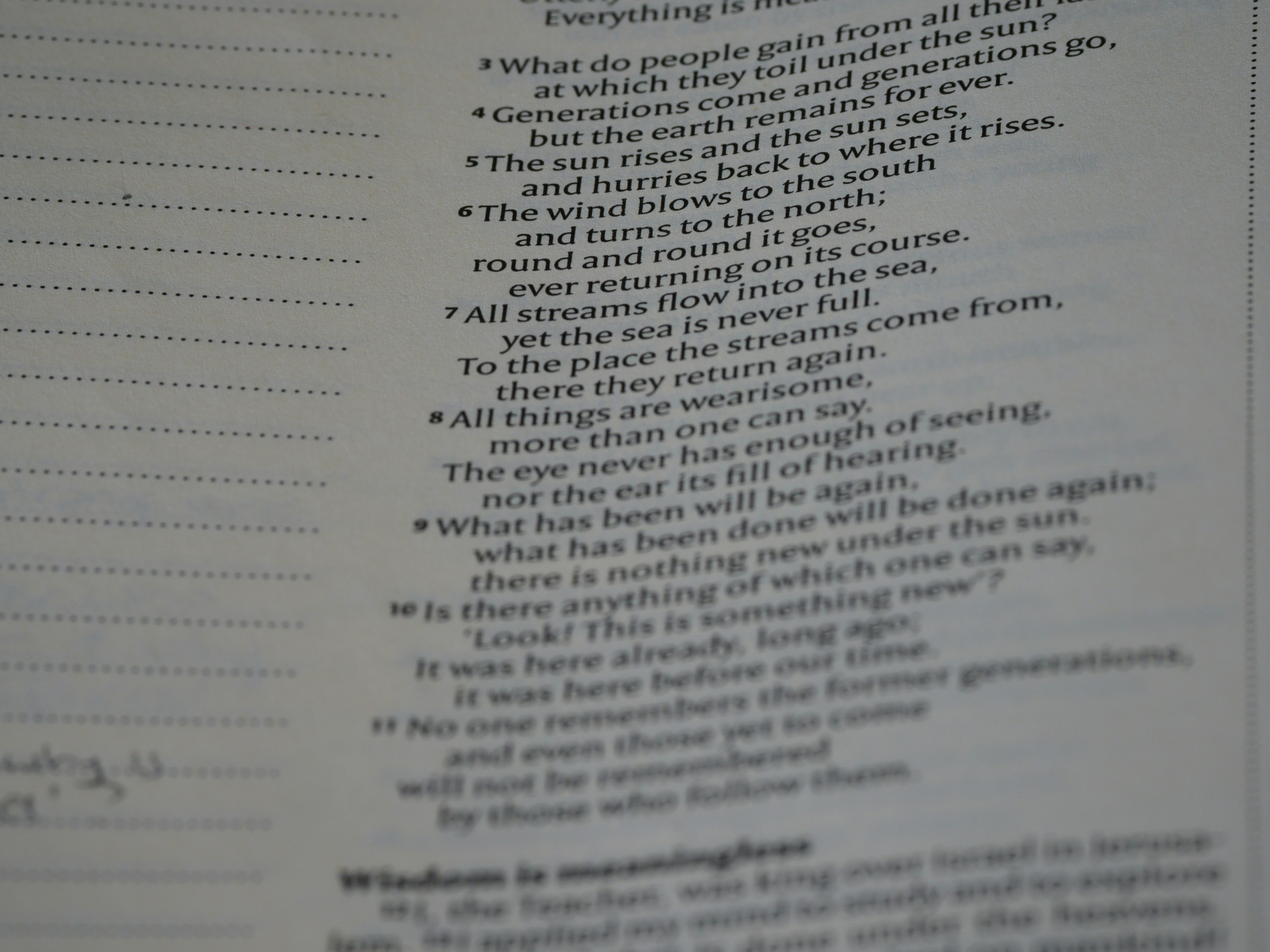 Photo by brett_jordan