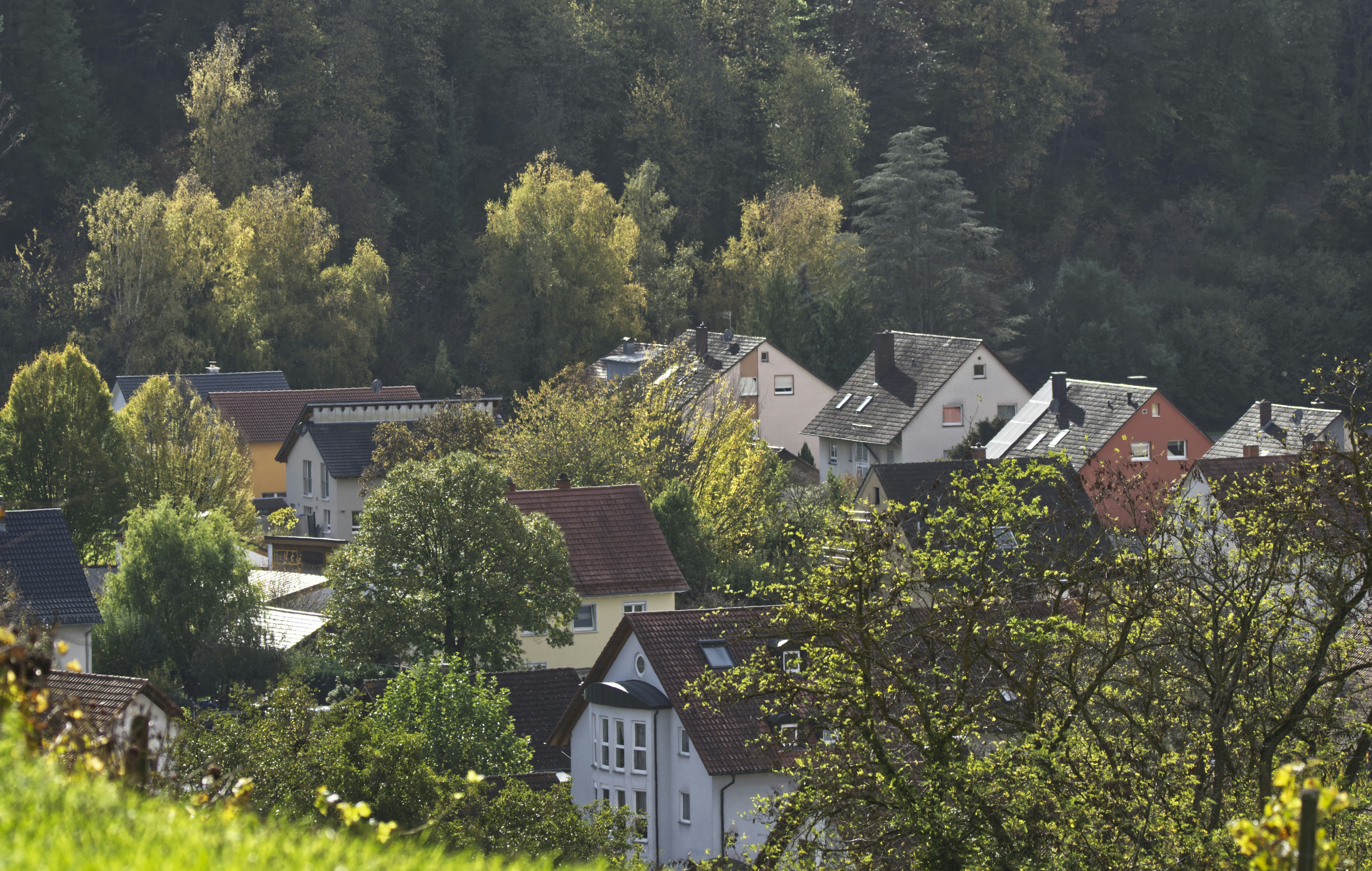 photo-1667466114942-4340f8e0b318?ixid=M3wxMjA3fDB8MXxzZWFyY2h8MTJ8fGdlbWlzY2h0ZXIlMjBzdGFtbXRpc2NoJTIwYXNjaGFmZmVuYnVyZ3xlbnwwfHx8fDE3NTYzODc1Njd8MA\u0026ixlib=rb-4.1.0