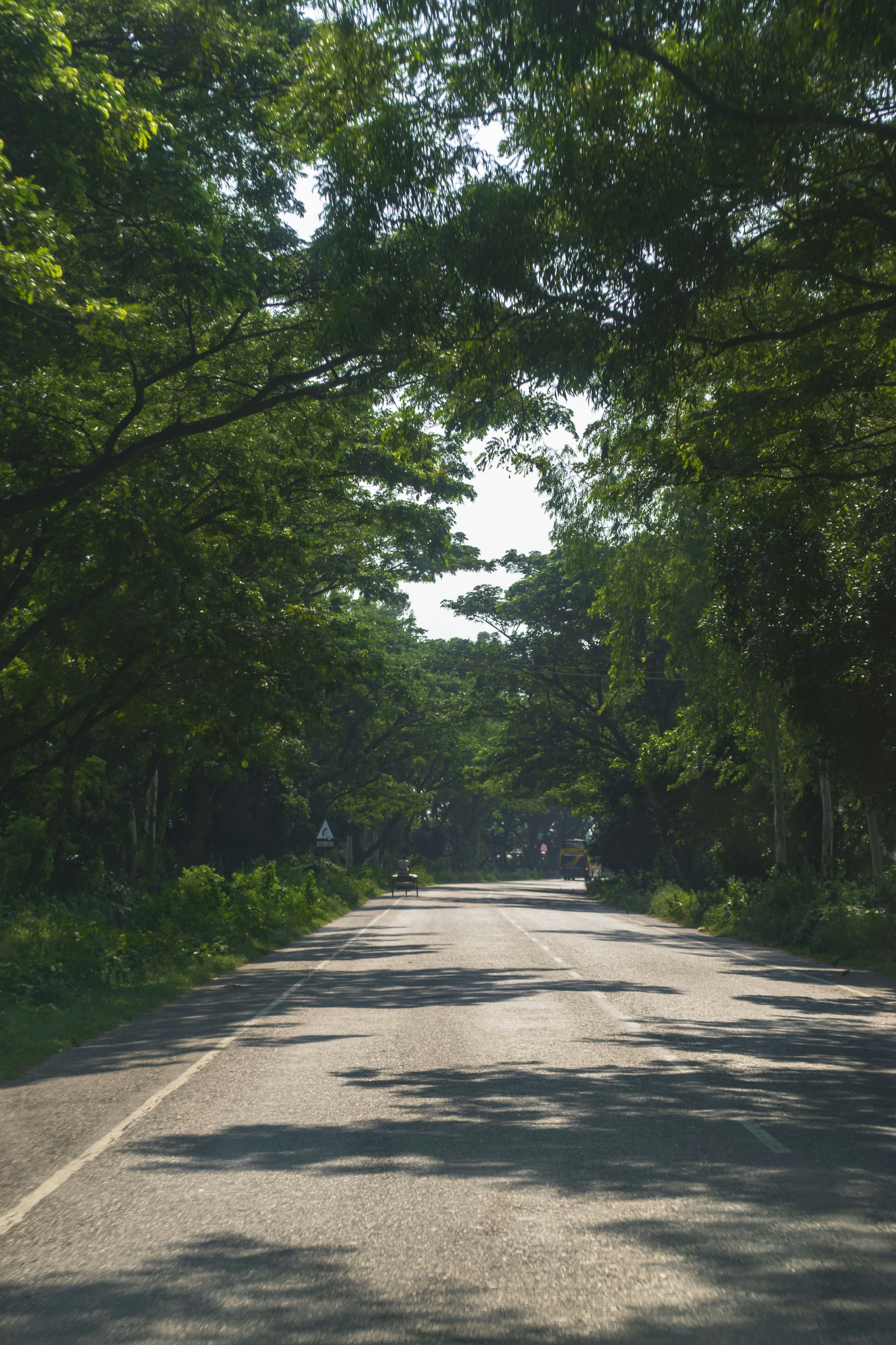 Photo by sharaf_captures98