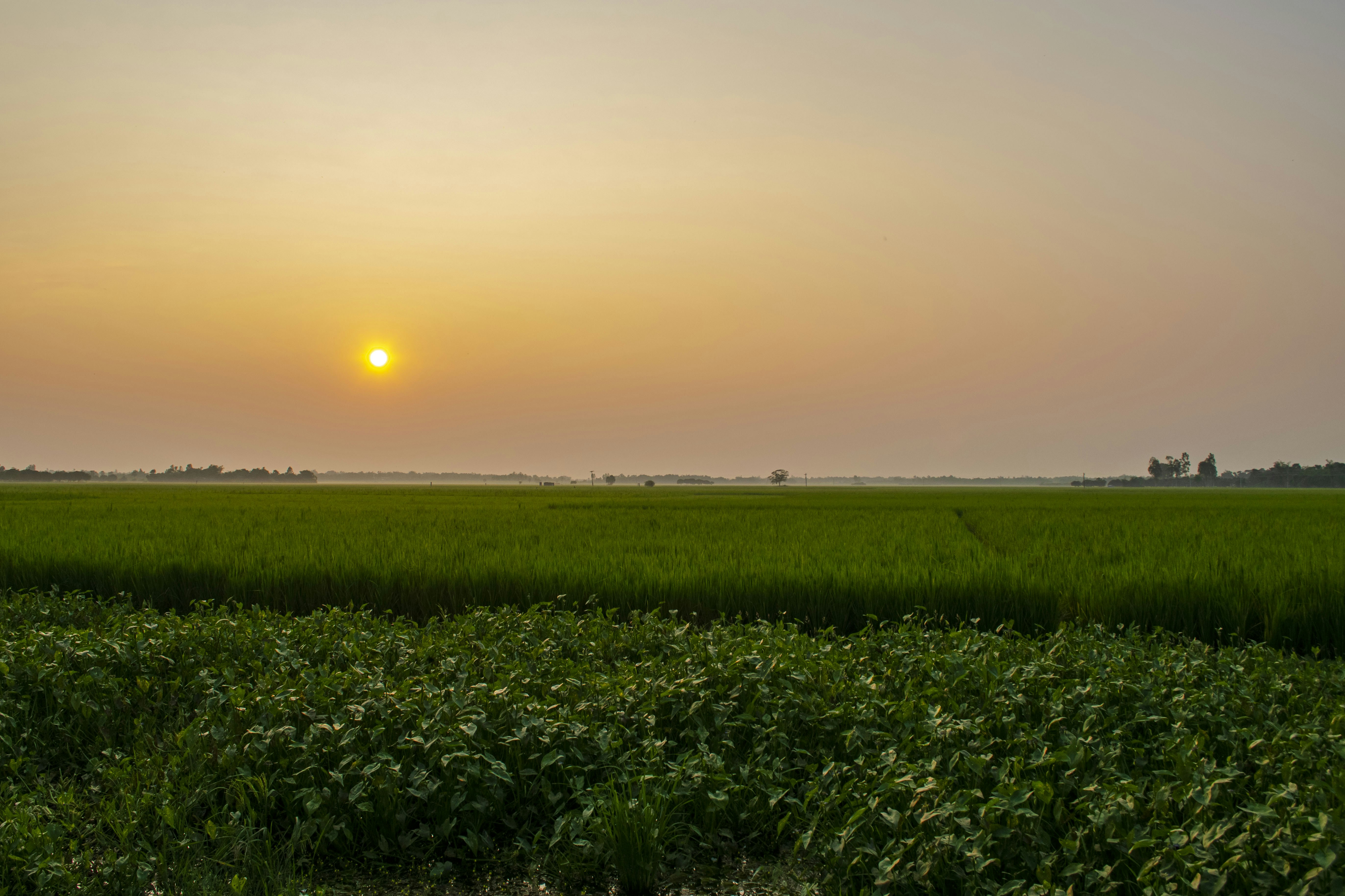 Photo by sharaf_captures98