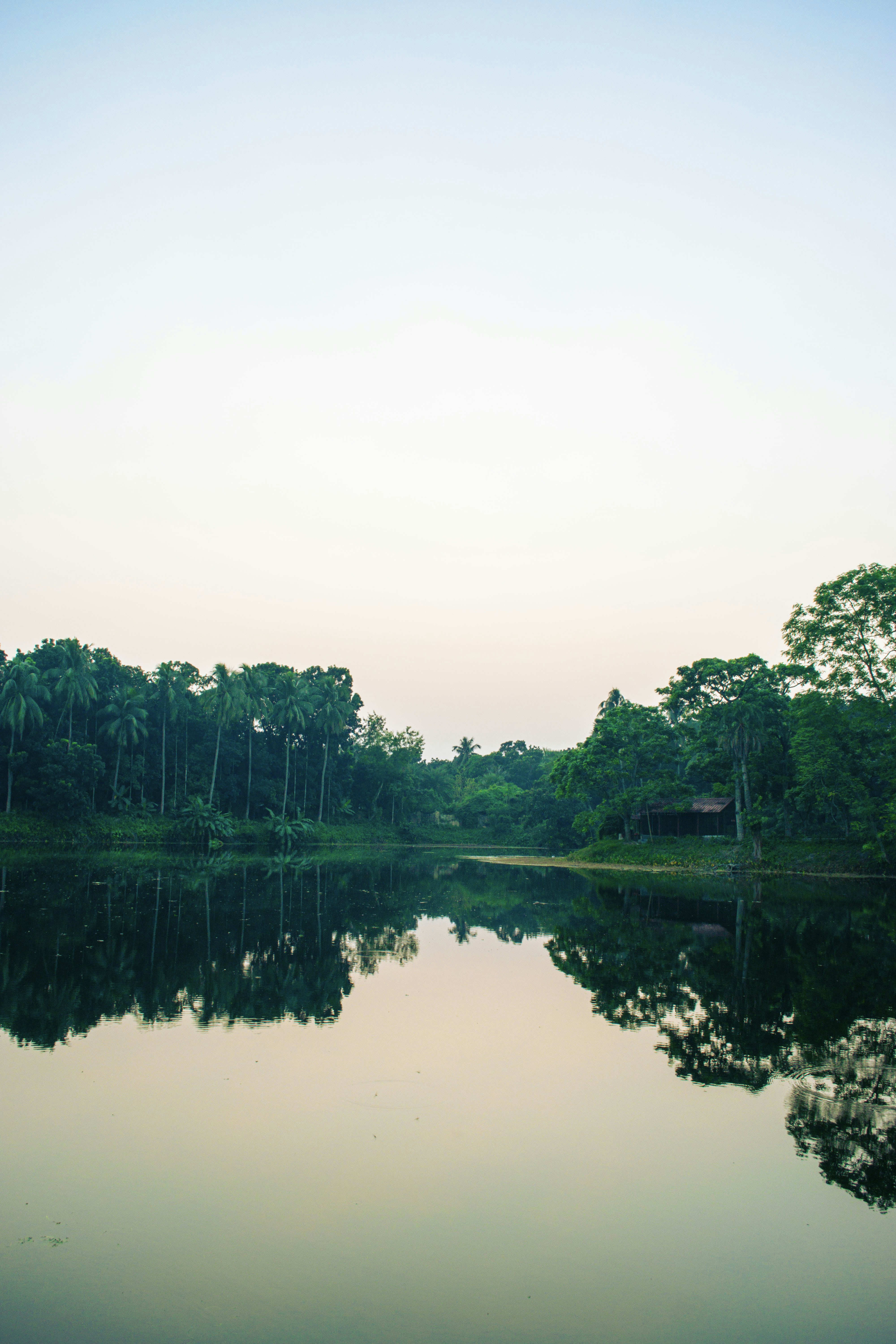 Photo by sharaf_captures98