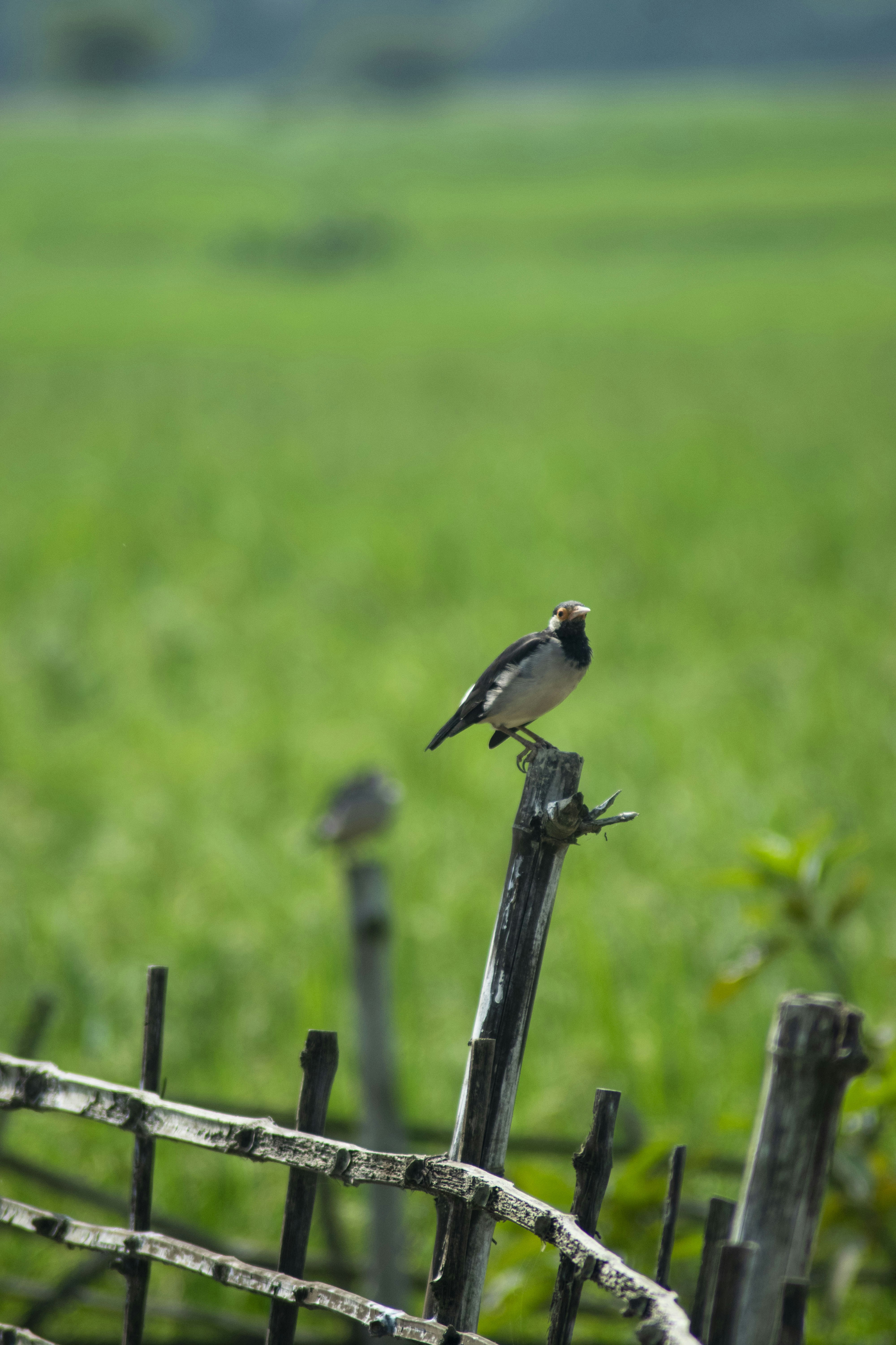 Photo by sharaf_captures98