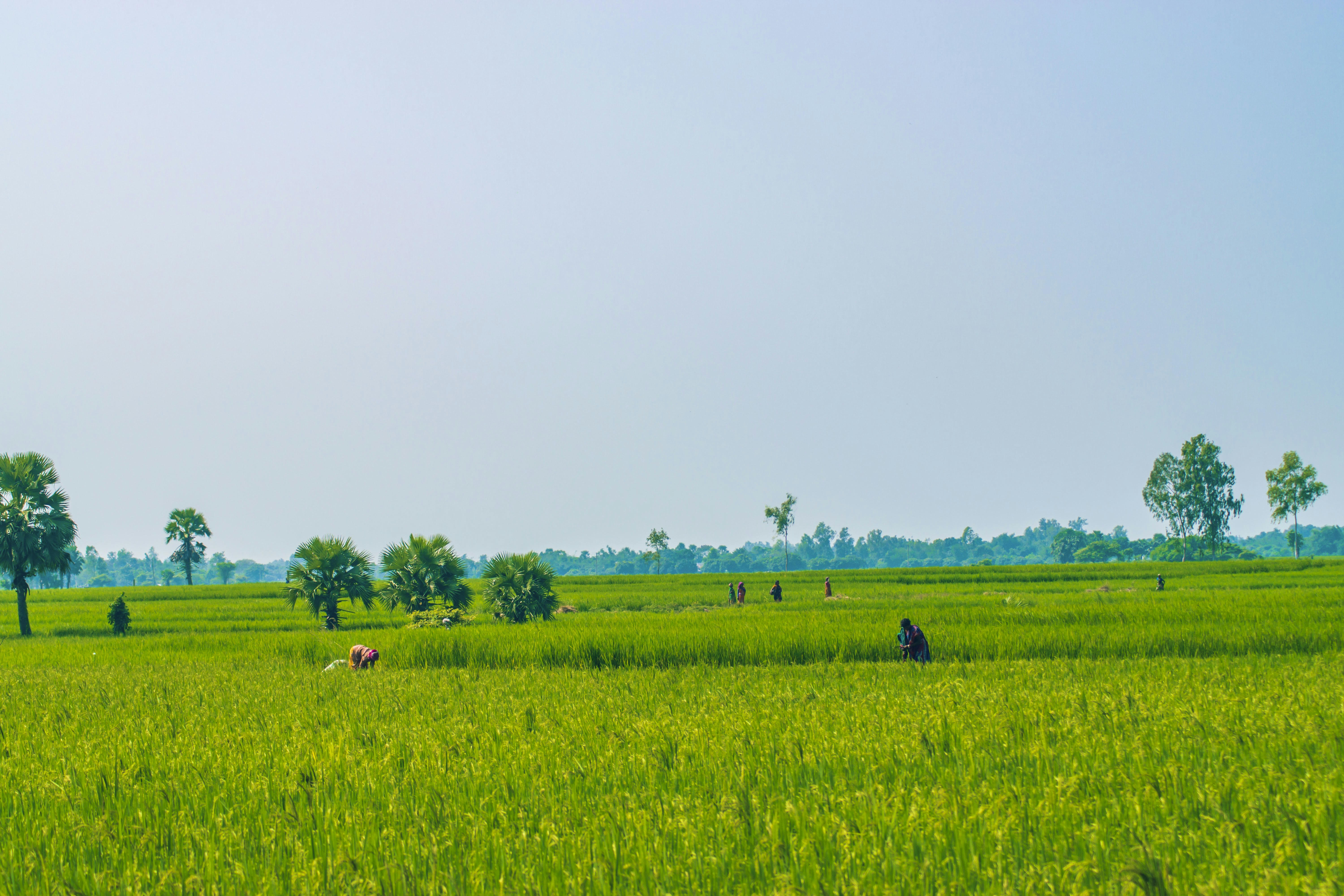 Photo by sharaf_captures98