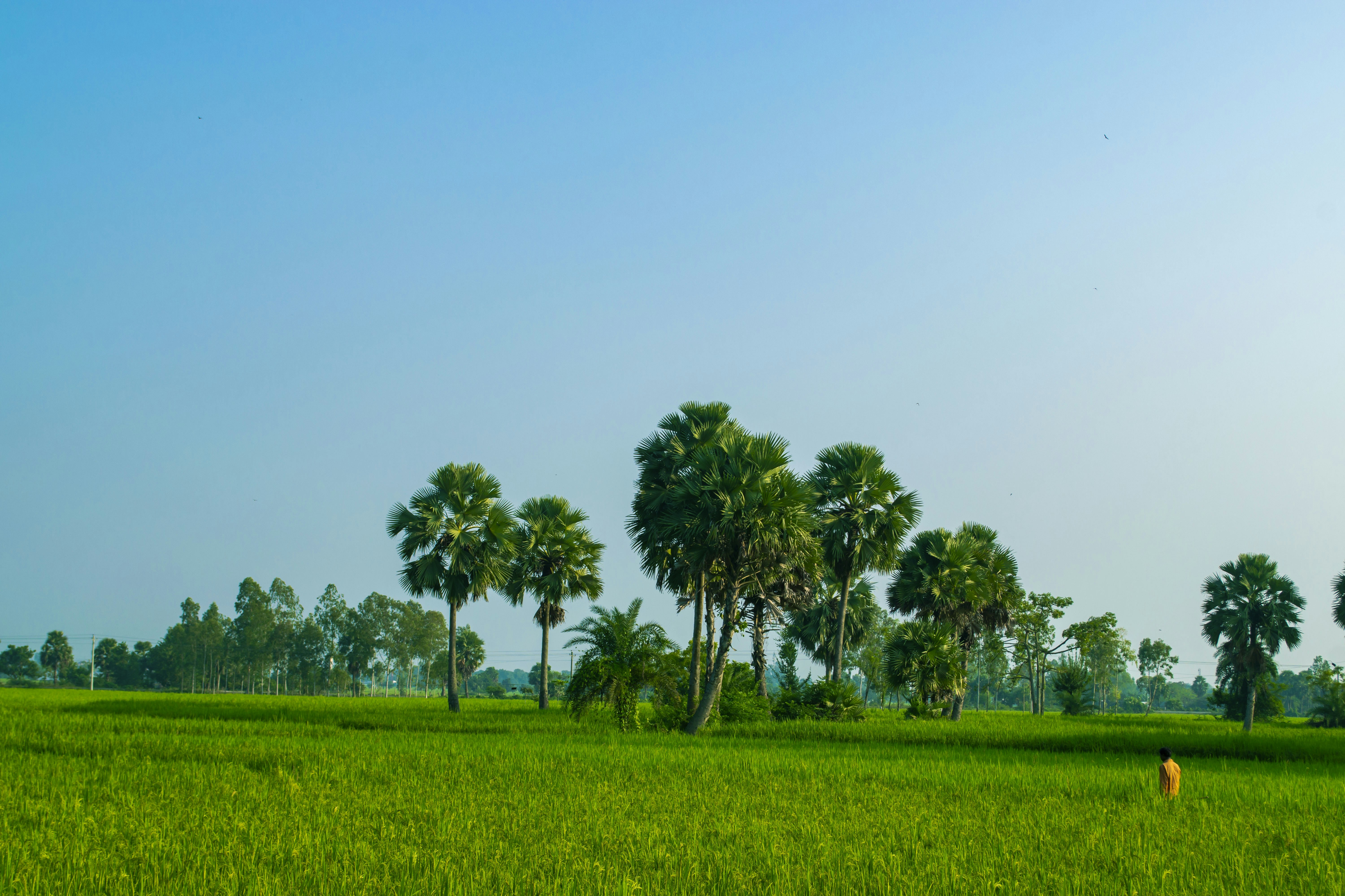 Photo by sharaf_captures98