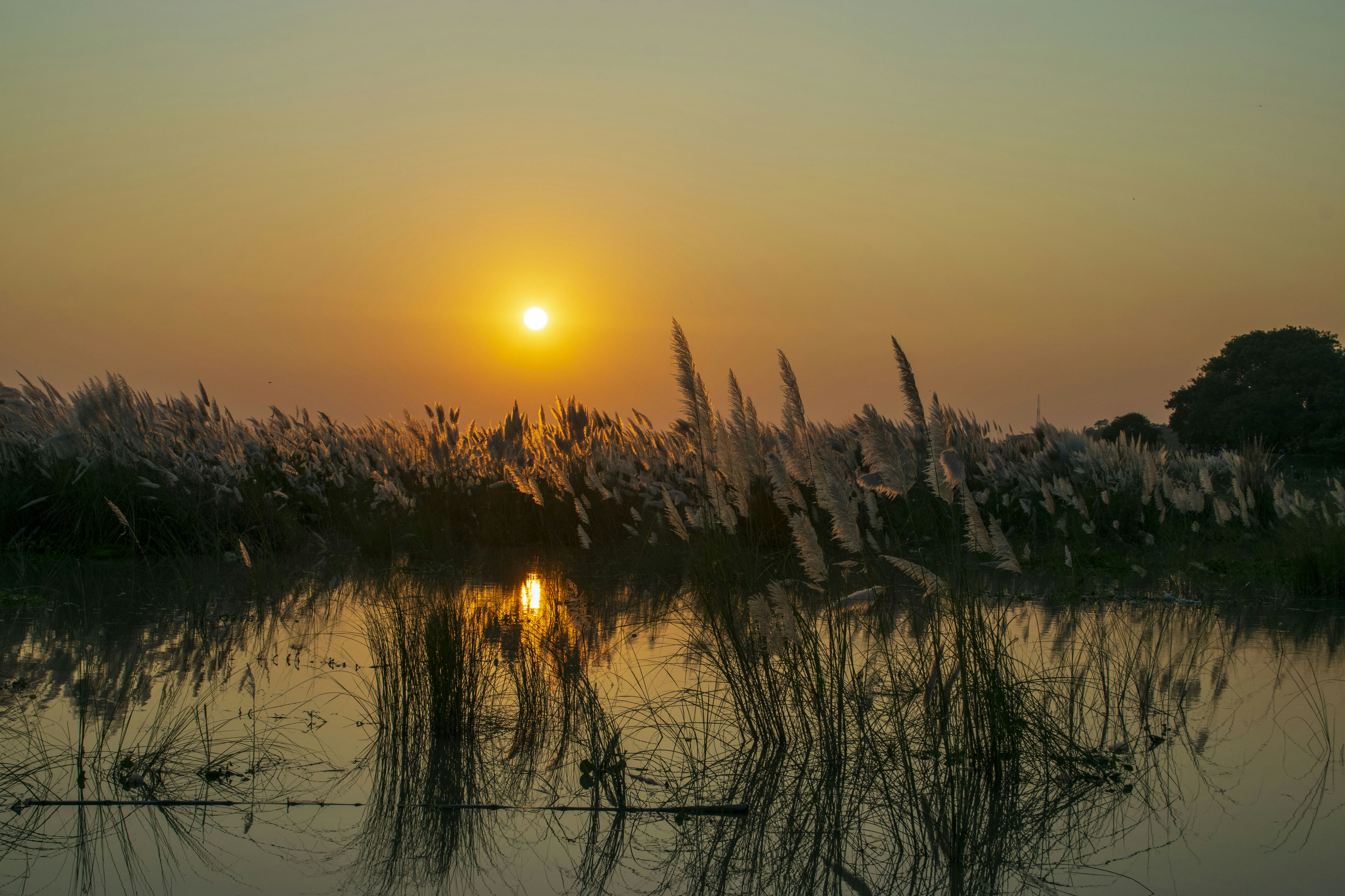 Photo by sharaf_captures98