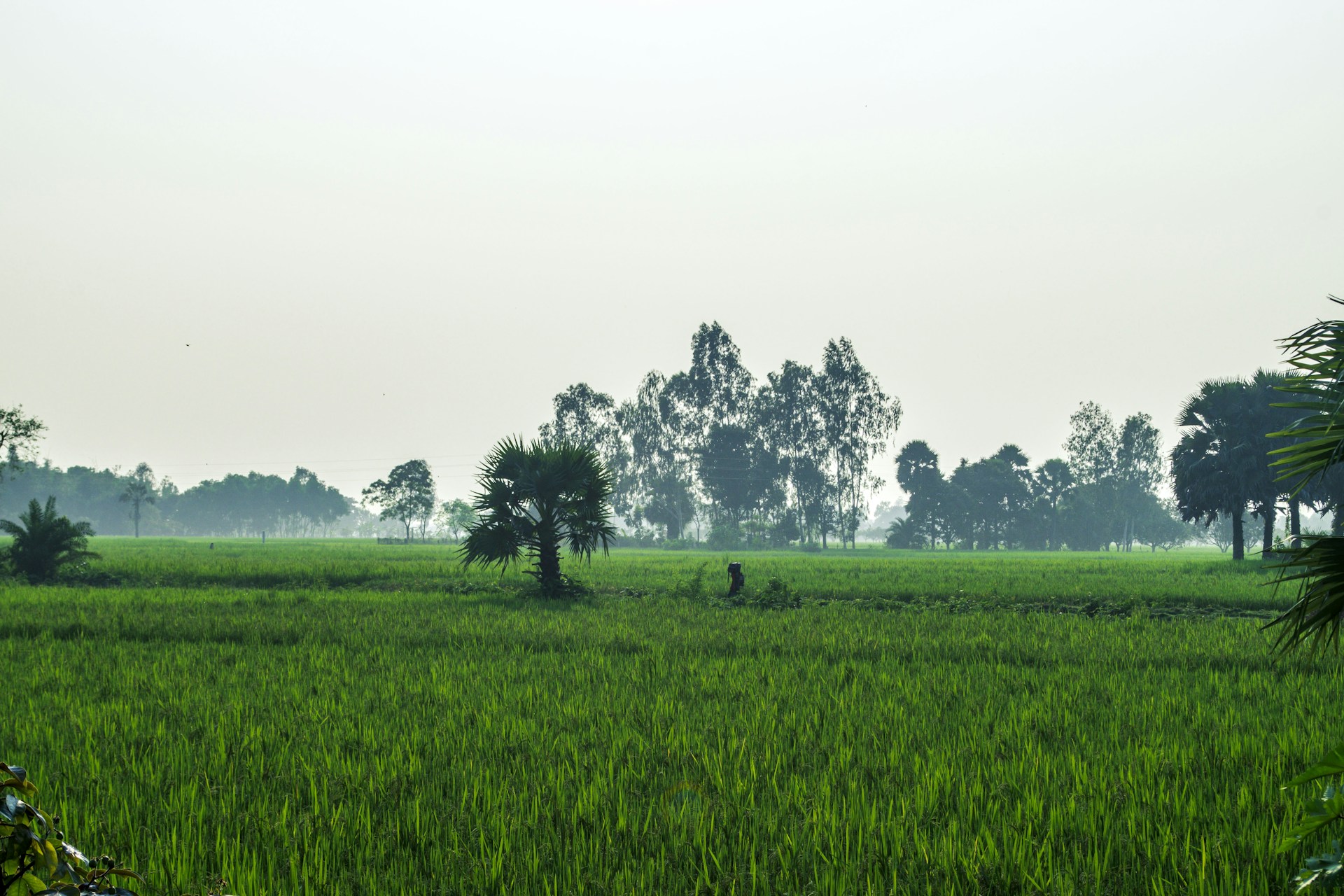 a person walking in a field