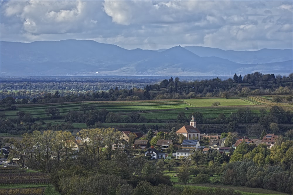 a landscape with trees and buildings