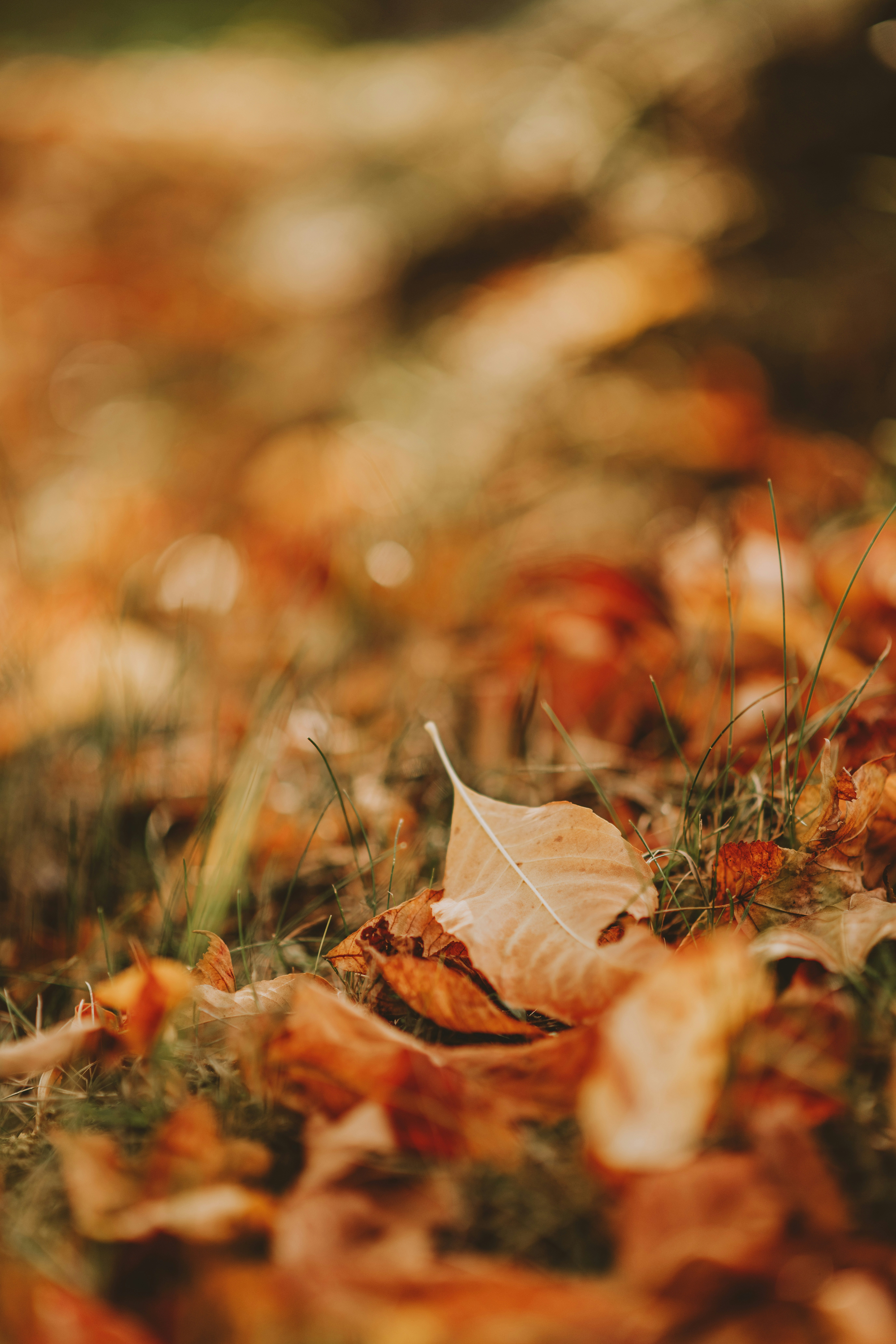 Photo by anitaaustvika