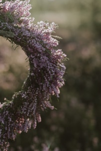 Close-up of a lush, elegantly arranged flower wreath with various blooms in soft colors