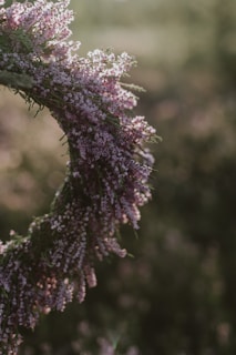 Close-up of a lush, elegantly arranged flower wreath with various blooms in soft colors