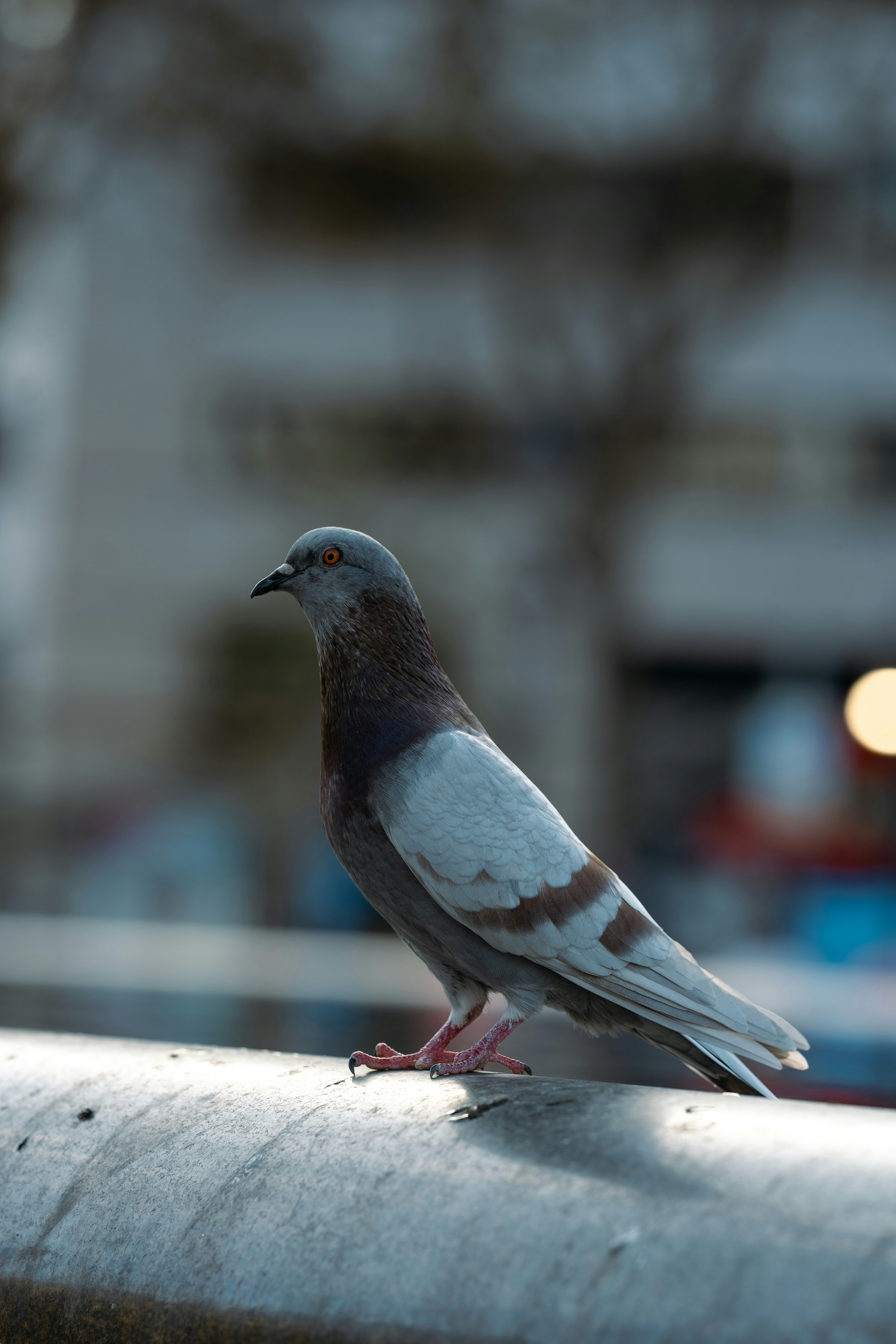 Photo by omarvellous14