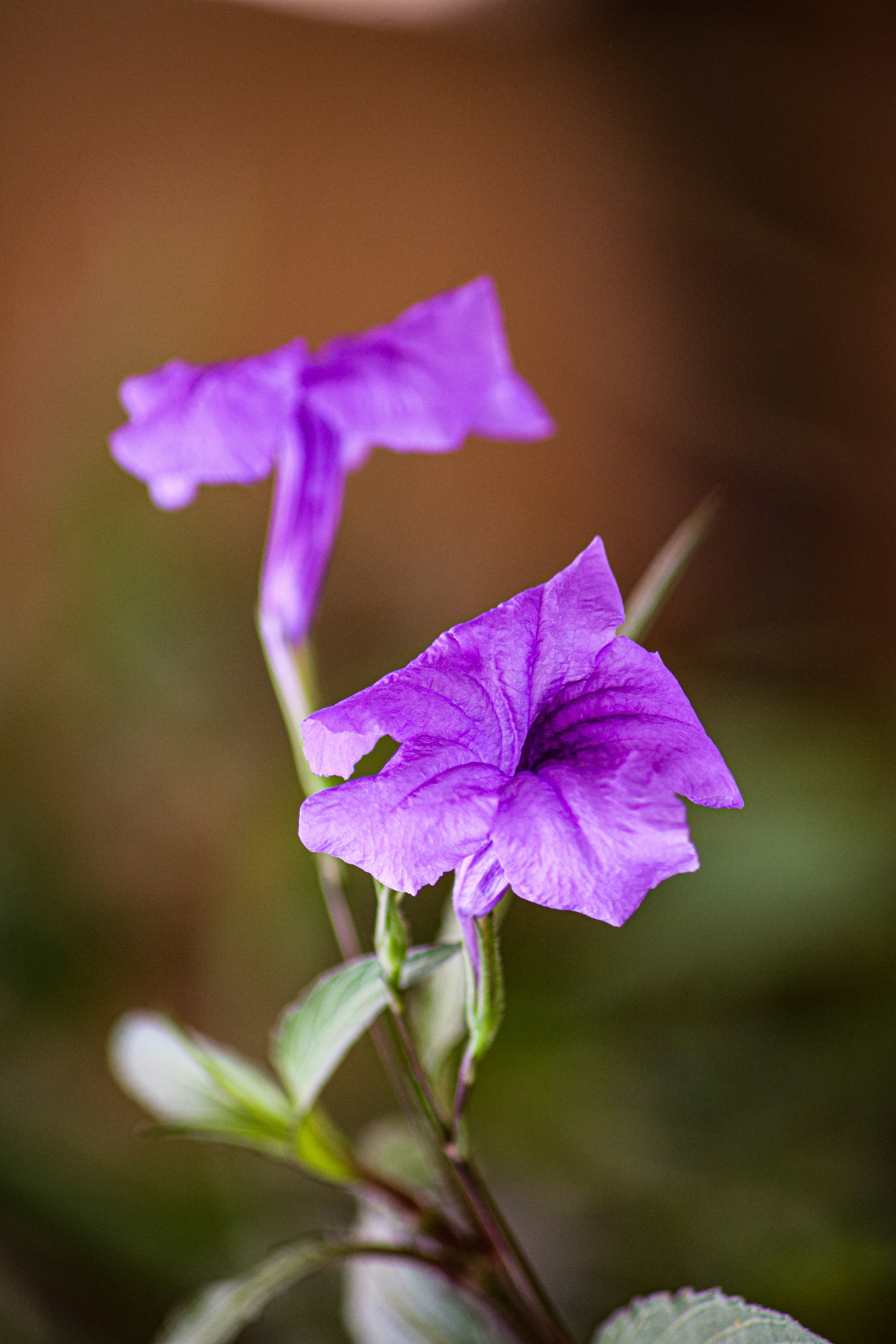 Photo by rejeesh_raj