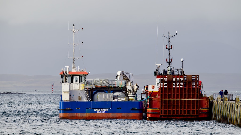 International & Jurisdictions