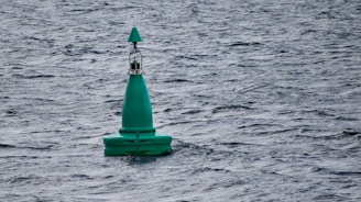 a green buoy in the water