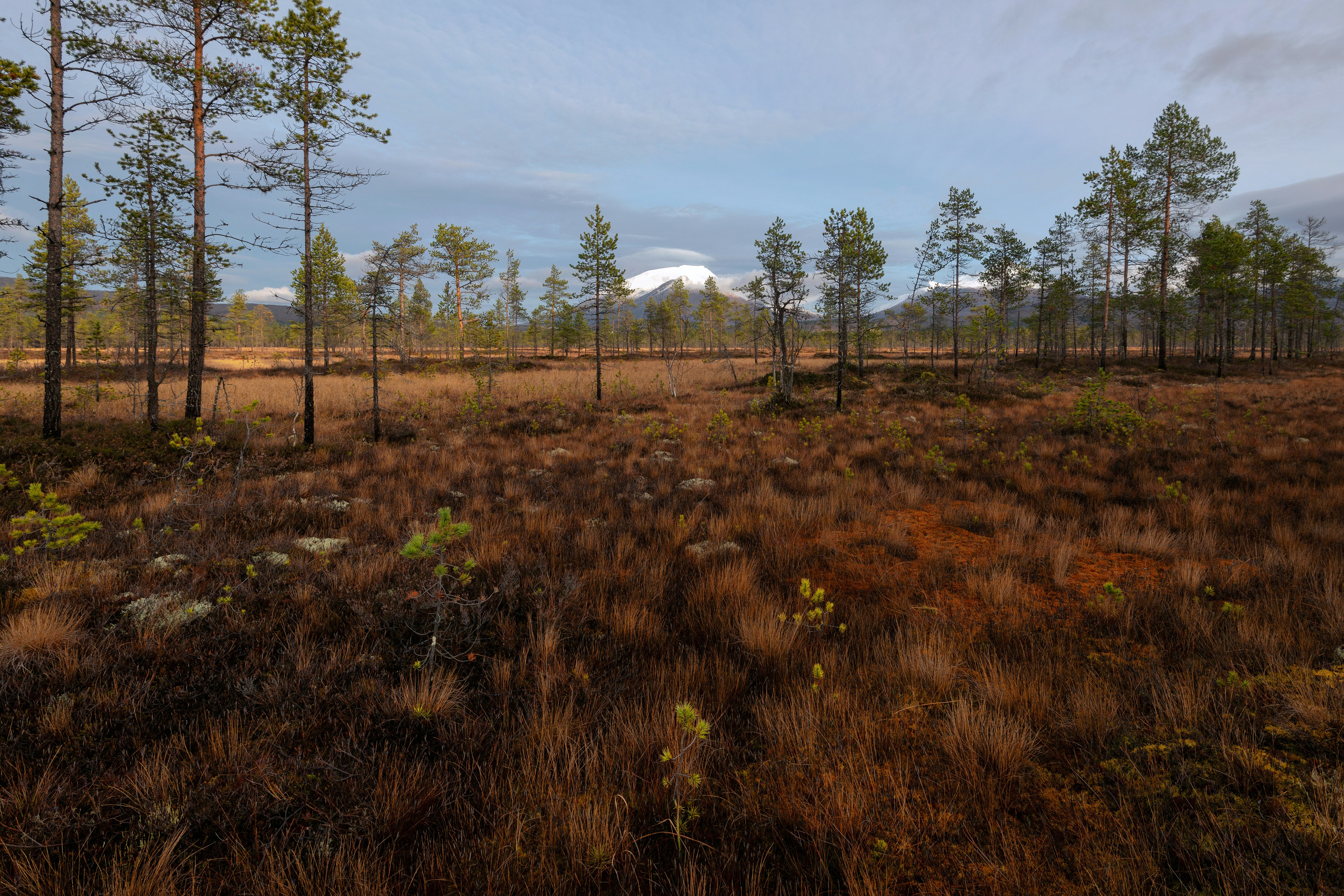 Photo by landscapeplaces