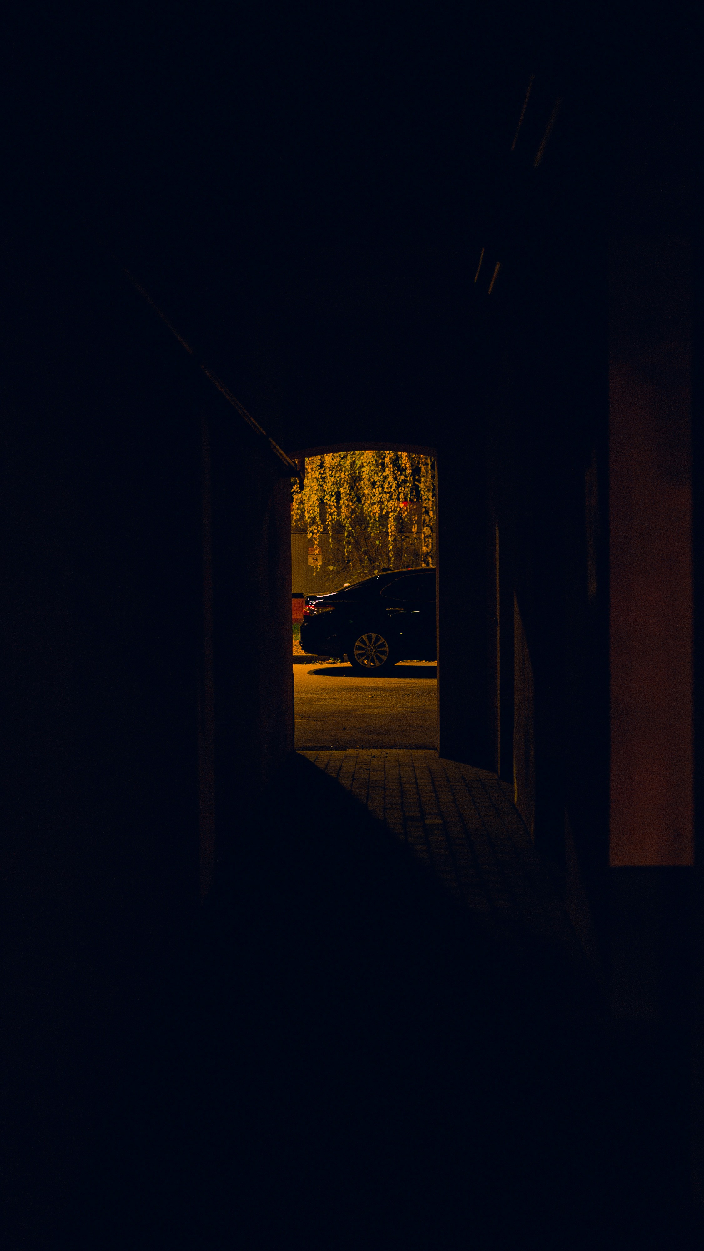 Photo by shklyaevmax