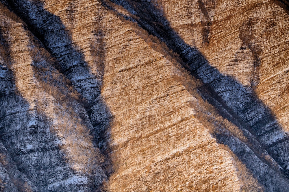 a close-up of a canyon