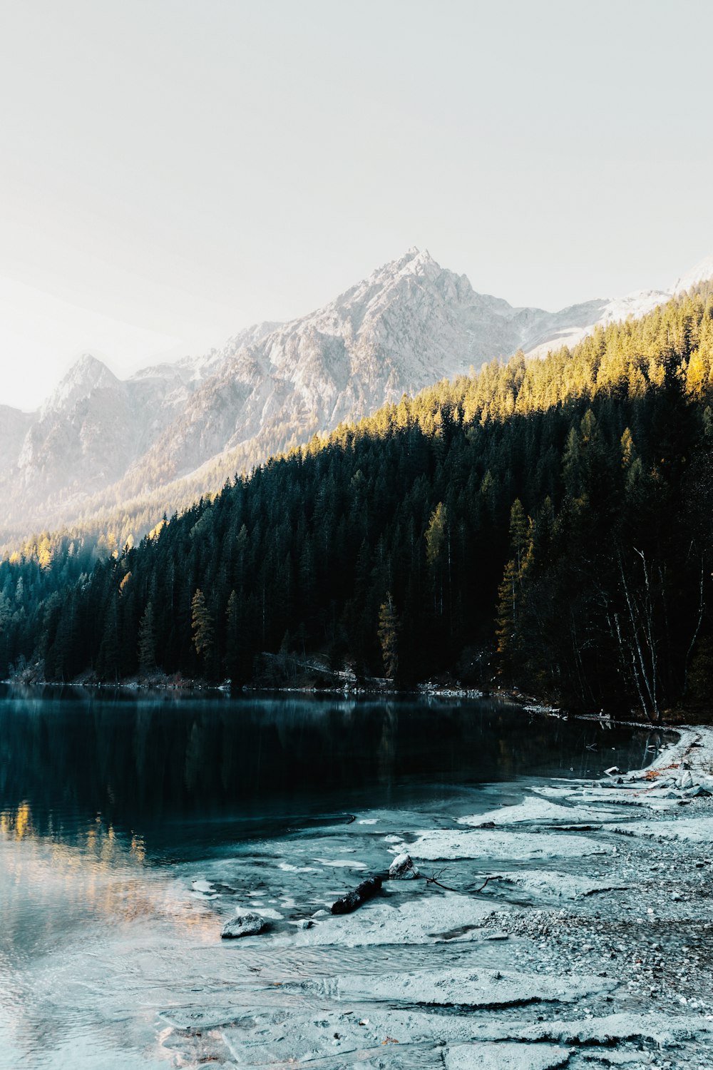 a lake with trees and mountains in the background