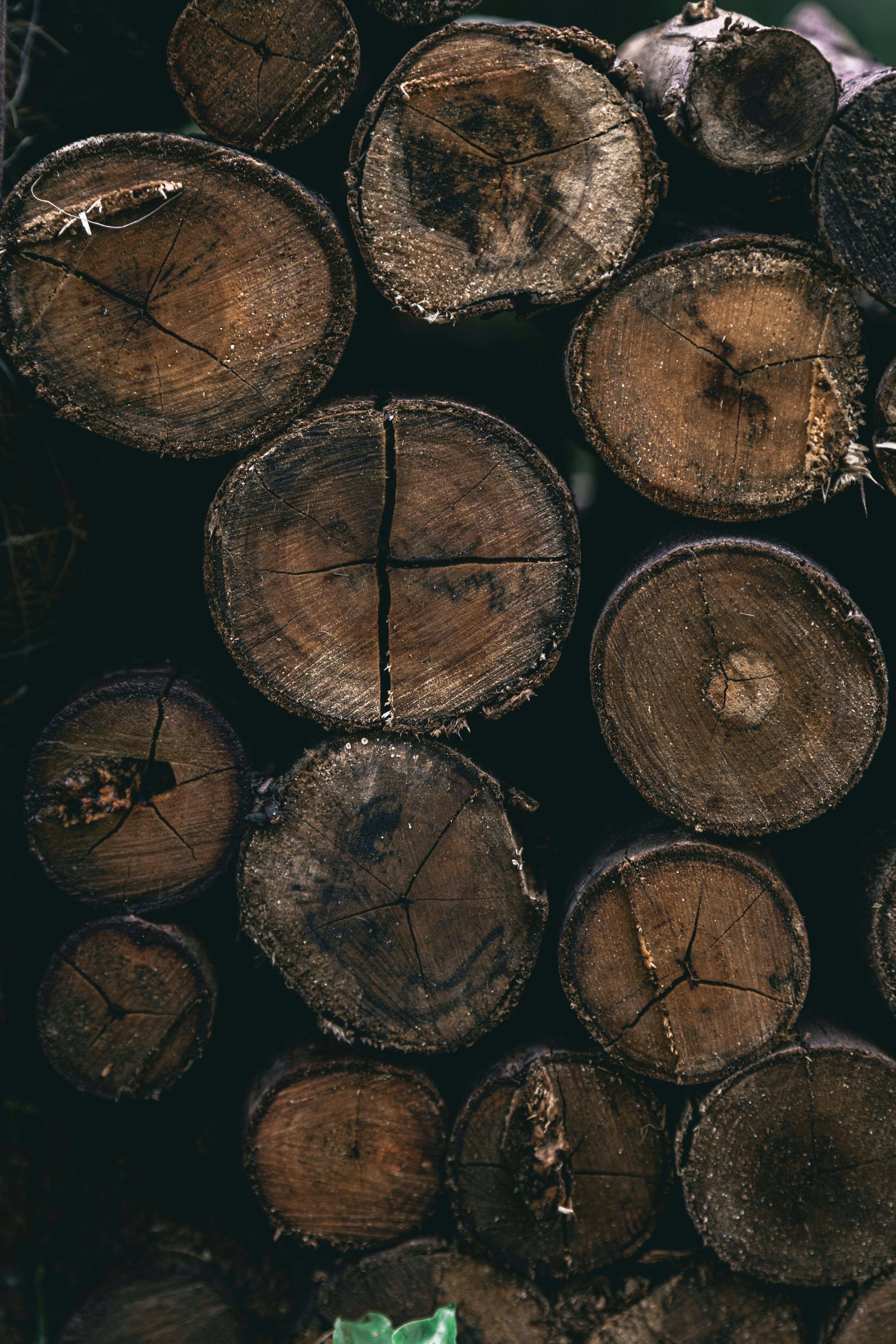 Photo by gabrieluizramos