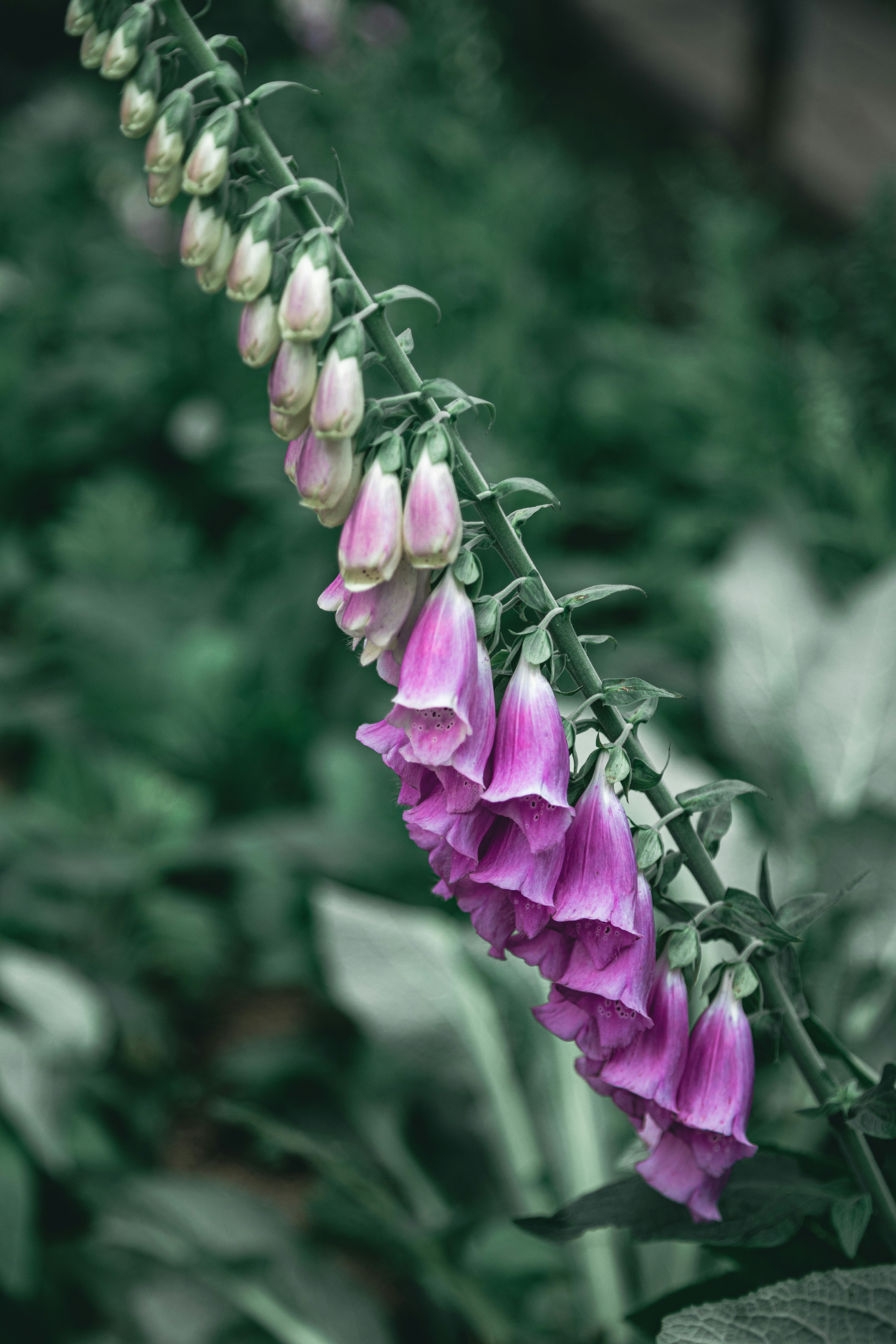 Photo by gabrieluizramos