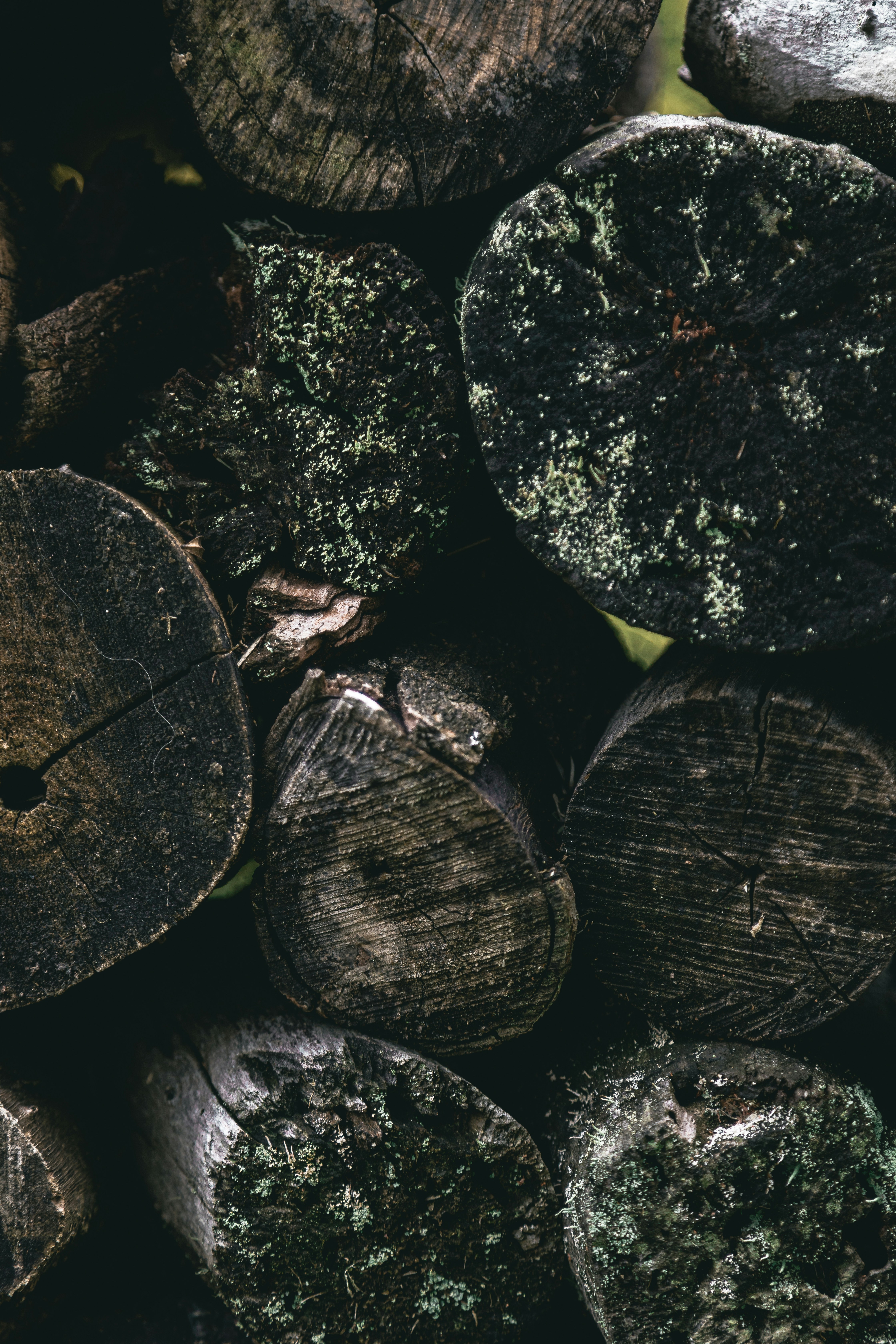 Photo by gabrieluizramos