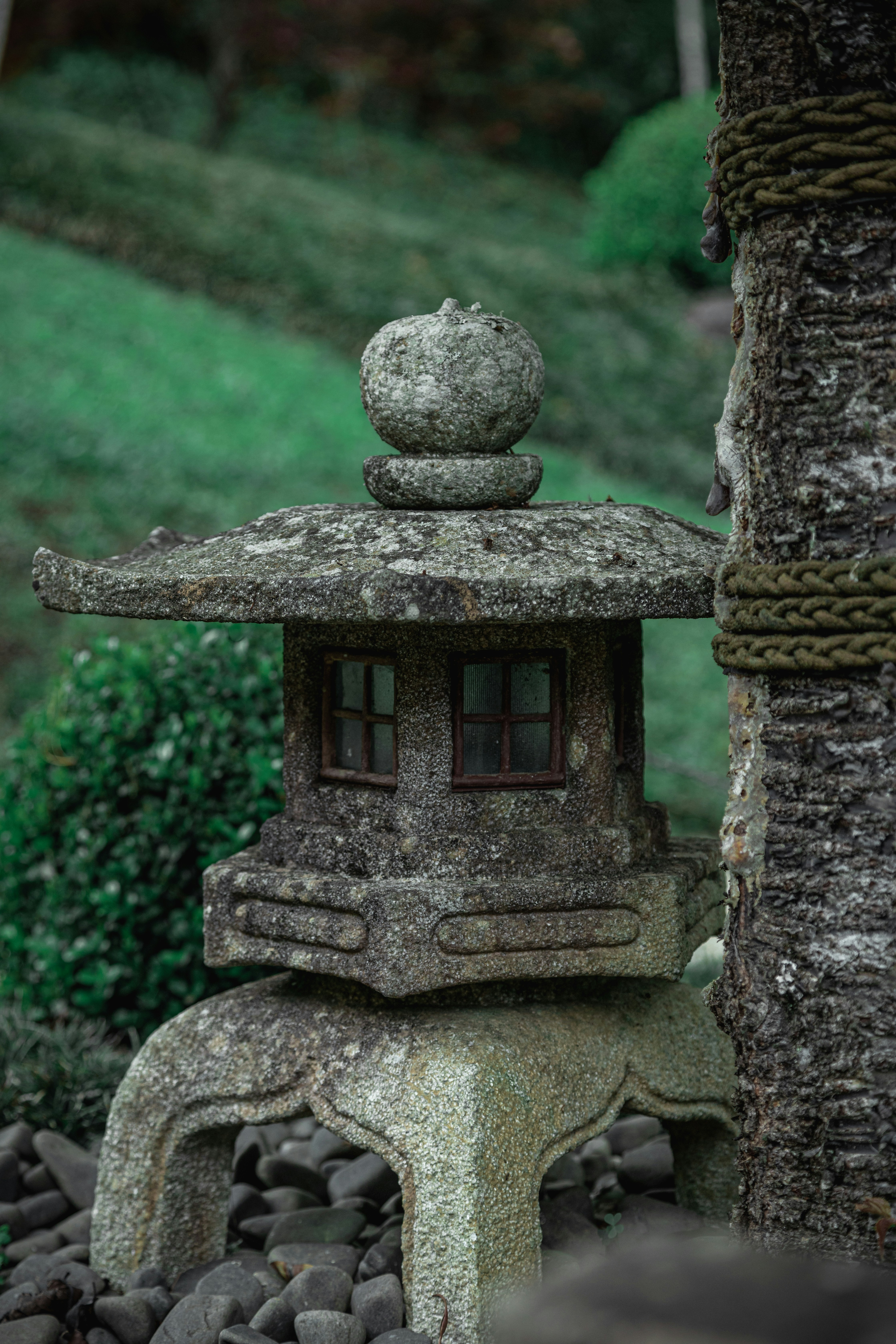 Photo by gabrieluizramos