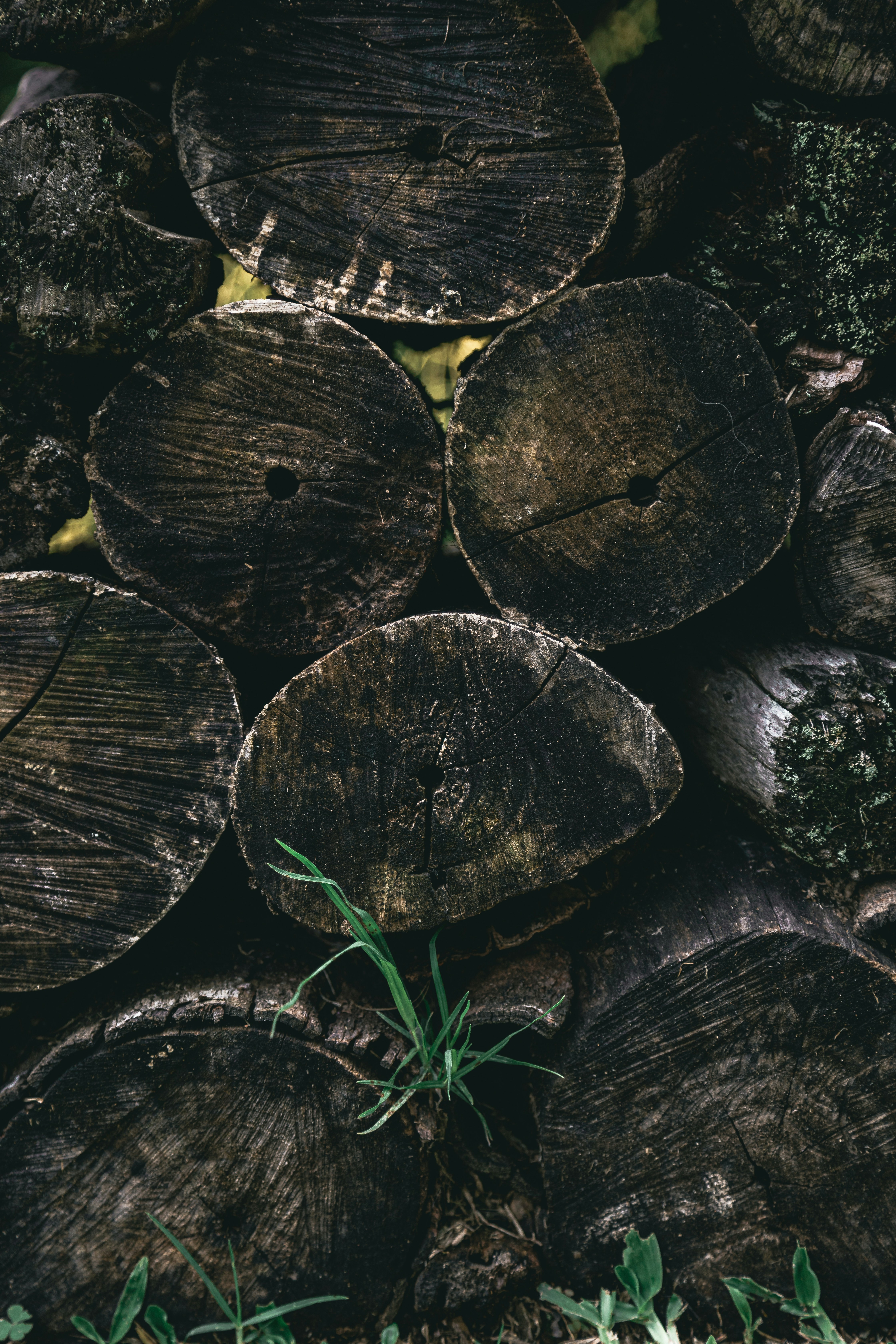 Photo by gabrieluizramos