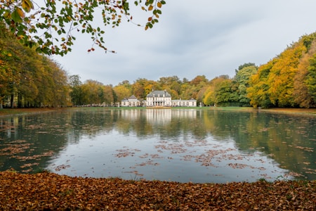 A grand white chateau is reflected in a tranquil lake, surrounded by autumnal trees with leaves in shades of orange, yellow, and green. The foreground is covered in fallen leaves while branches hang over the scene.