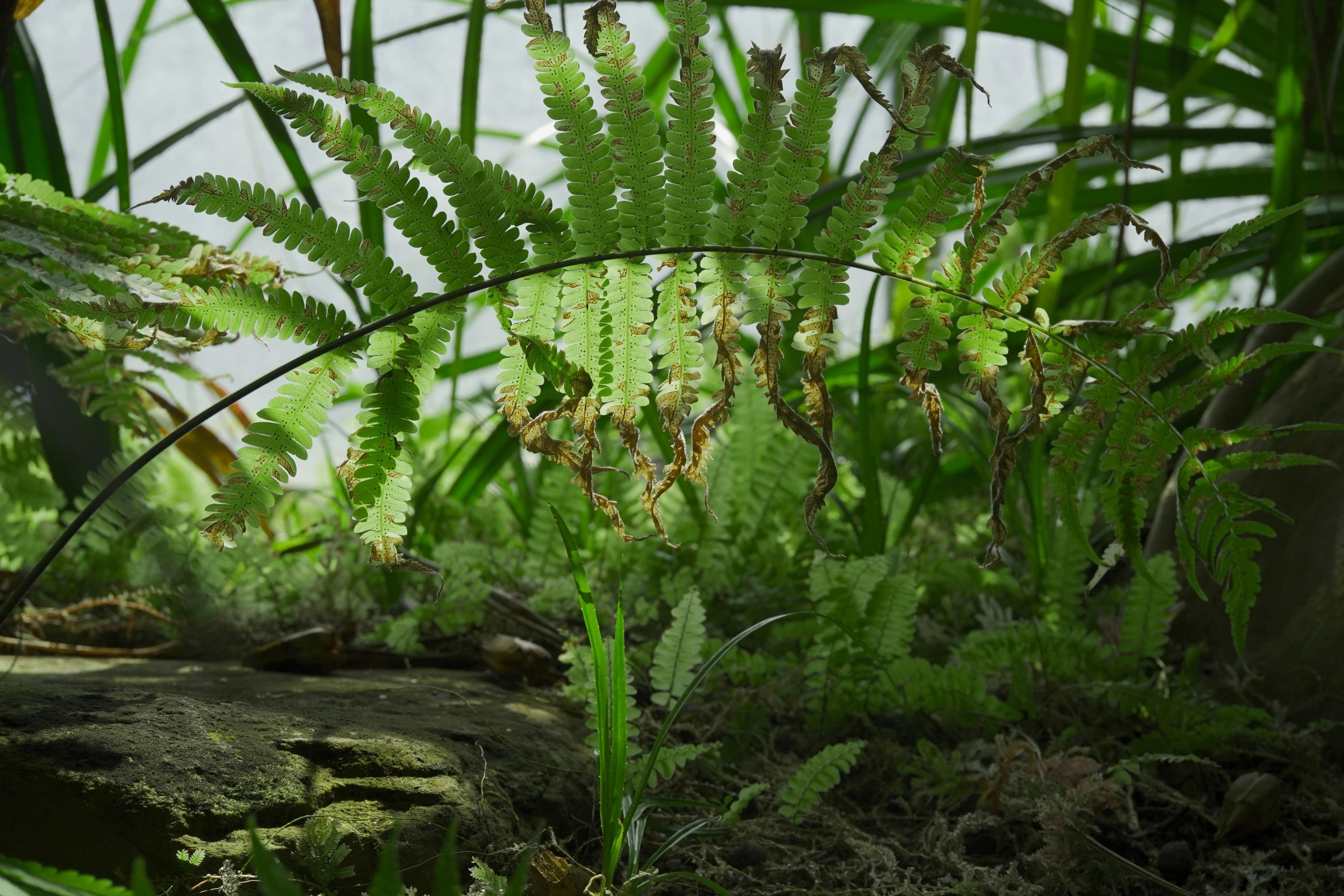 Photo by msz010dzeta