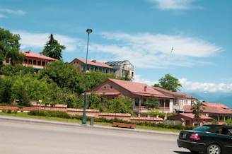 Houses with red-tiled roofs nestled among lush green trees, situated on a gentle hillside. A clear blue sky with a few clouds and a bird flying above provides a serene backdrop. A road runs in the foreground with a black car passing by and a streetlight nearby.
