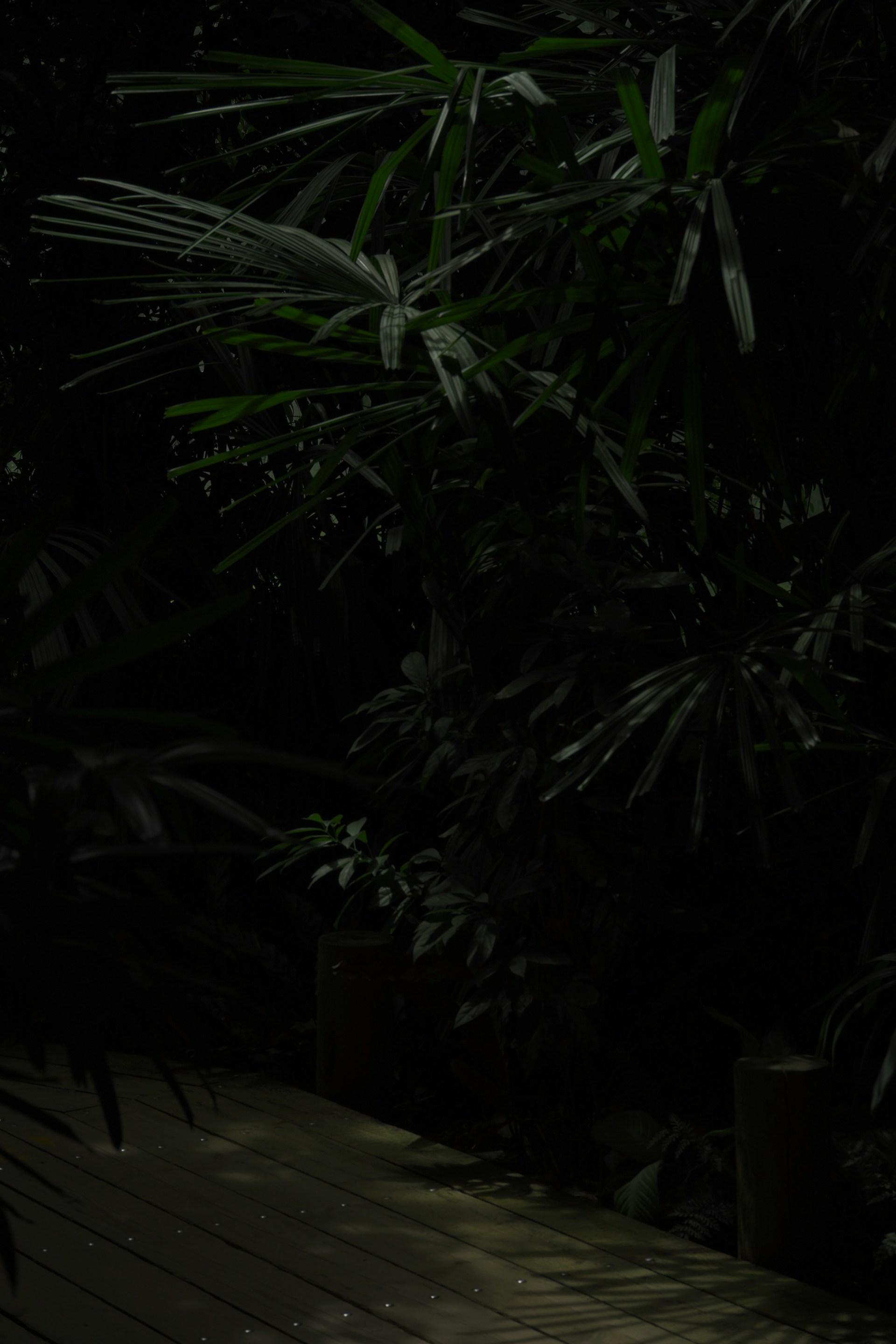 background pattern
