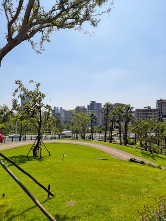 A vibrant, lush urban park with well-maintained trees and landscaping under a clear blue sky.