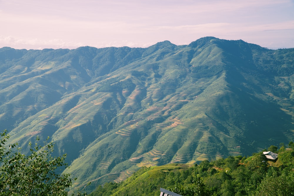 a view of a valley with trees and a house in the distance